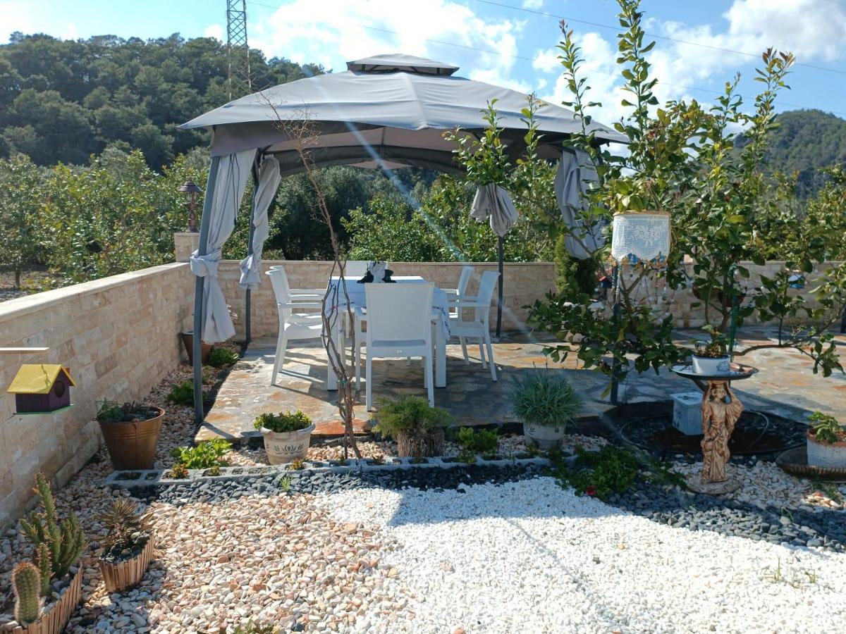 Villa Dionyssos — photo 5