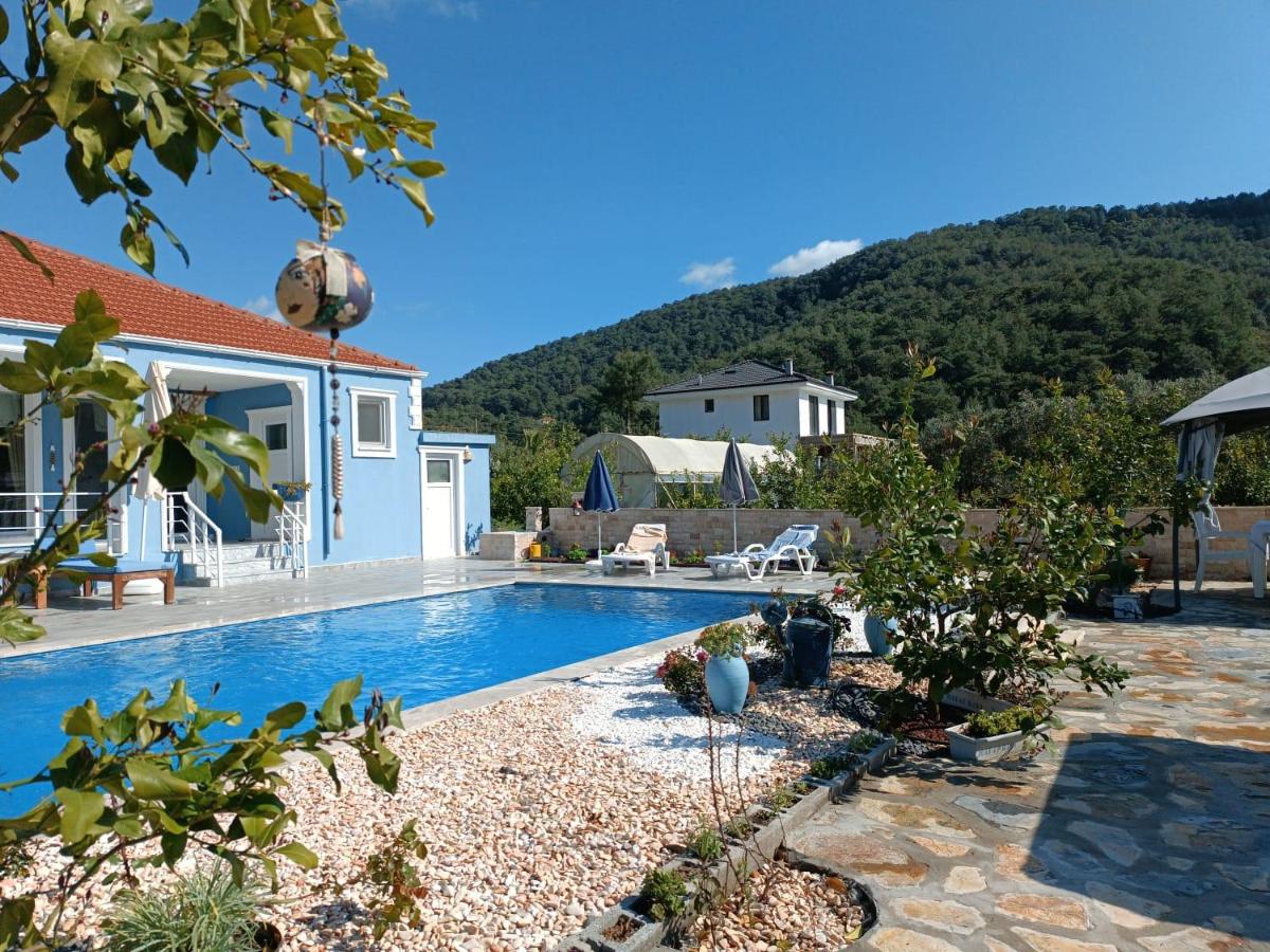 Villa Dionyssos — photo 4