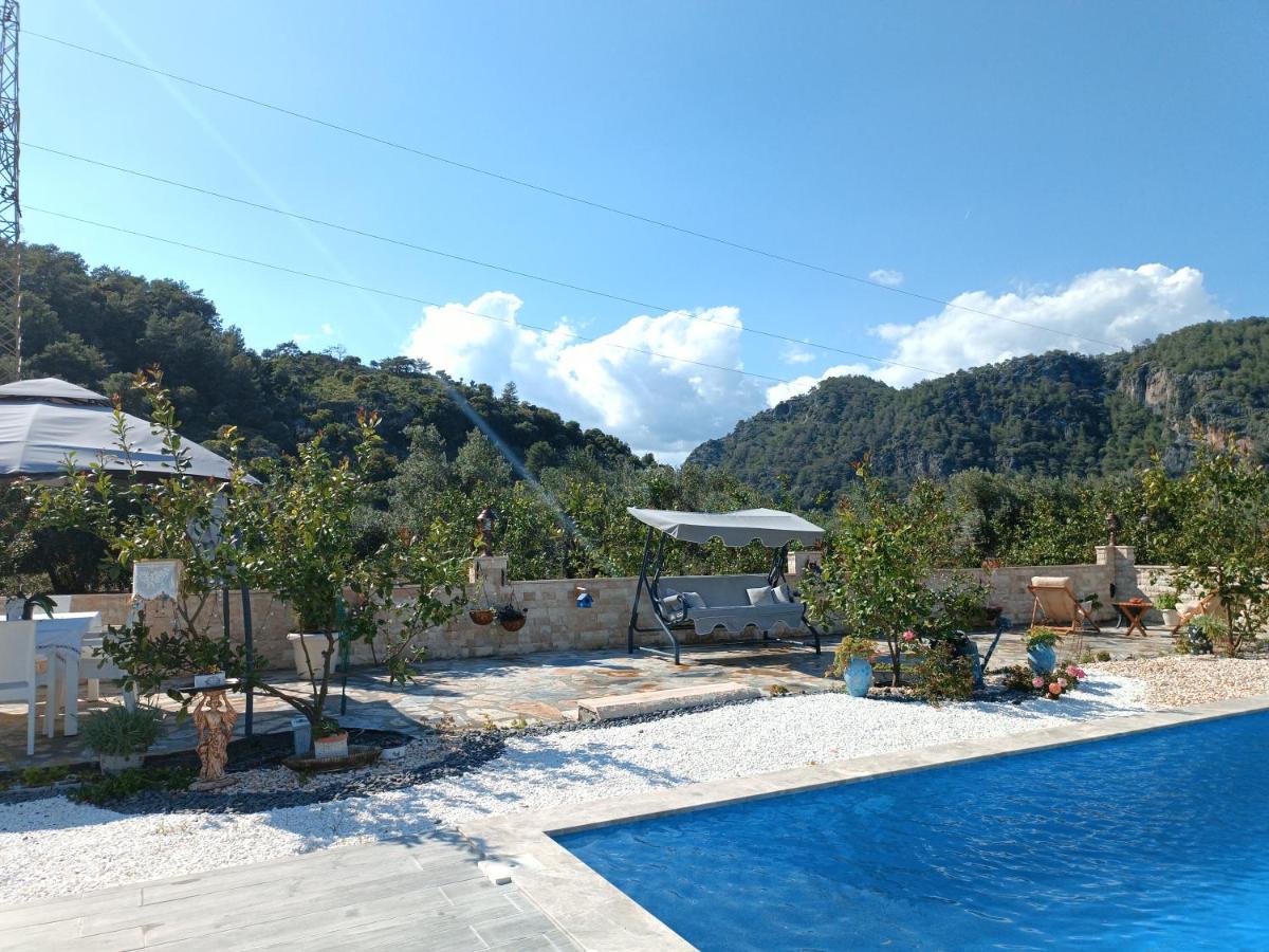 Villa Dionyssos — photo 3