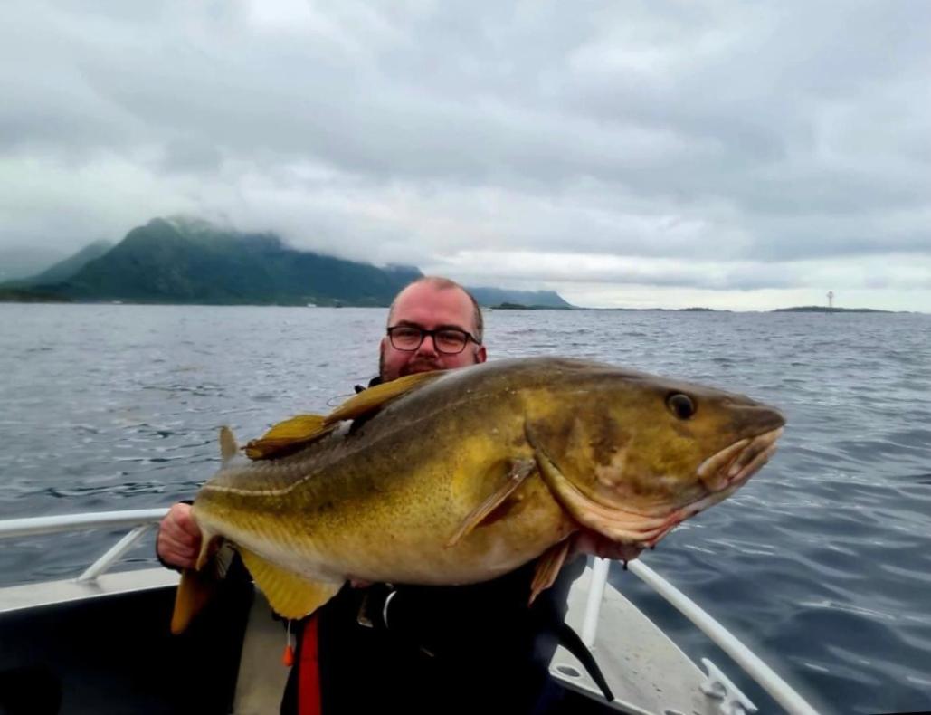 Lofoten and Vesterålen Kveldro