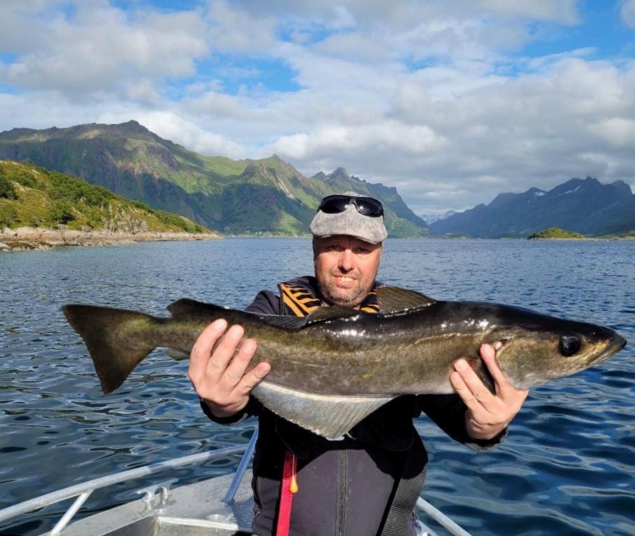 Lofoten and Vesterålen Kveldro