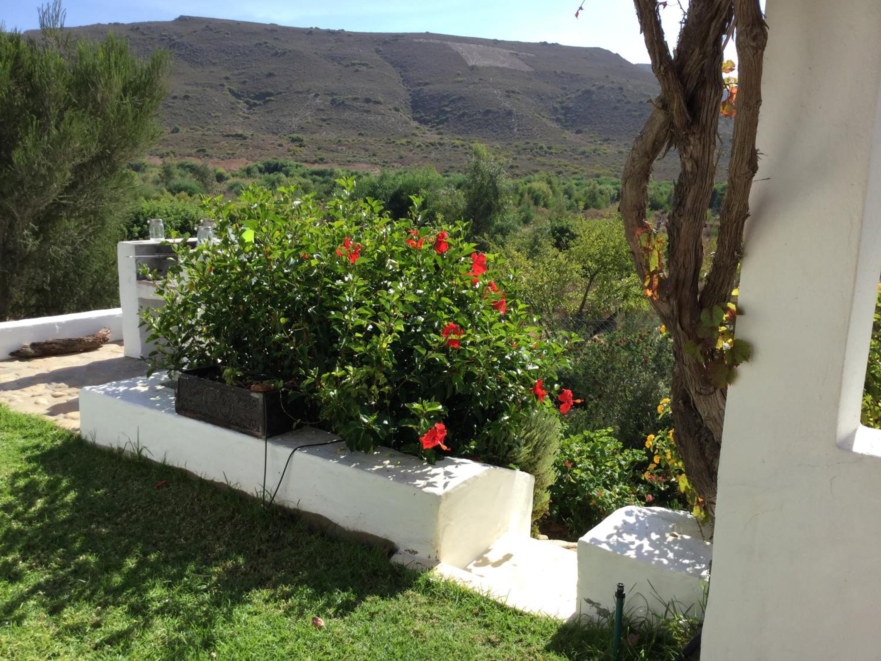 Plum Tree Cottage view 4