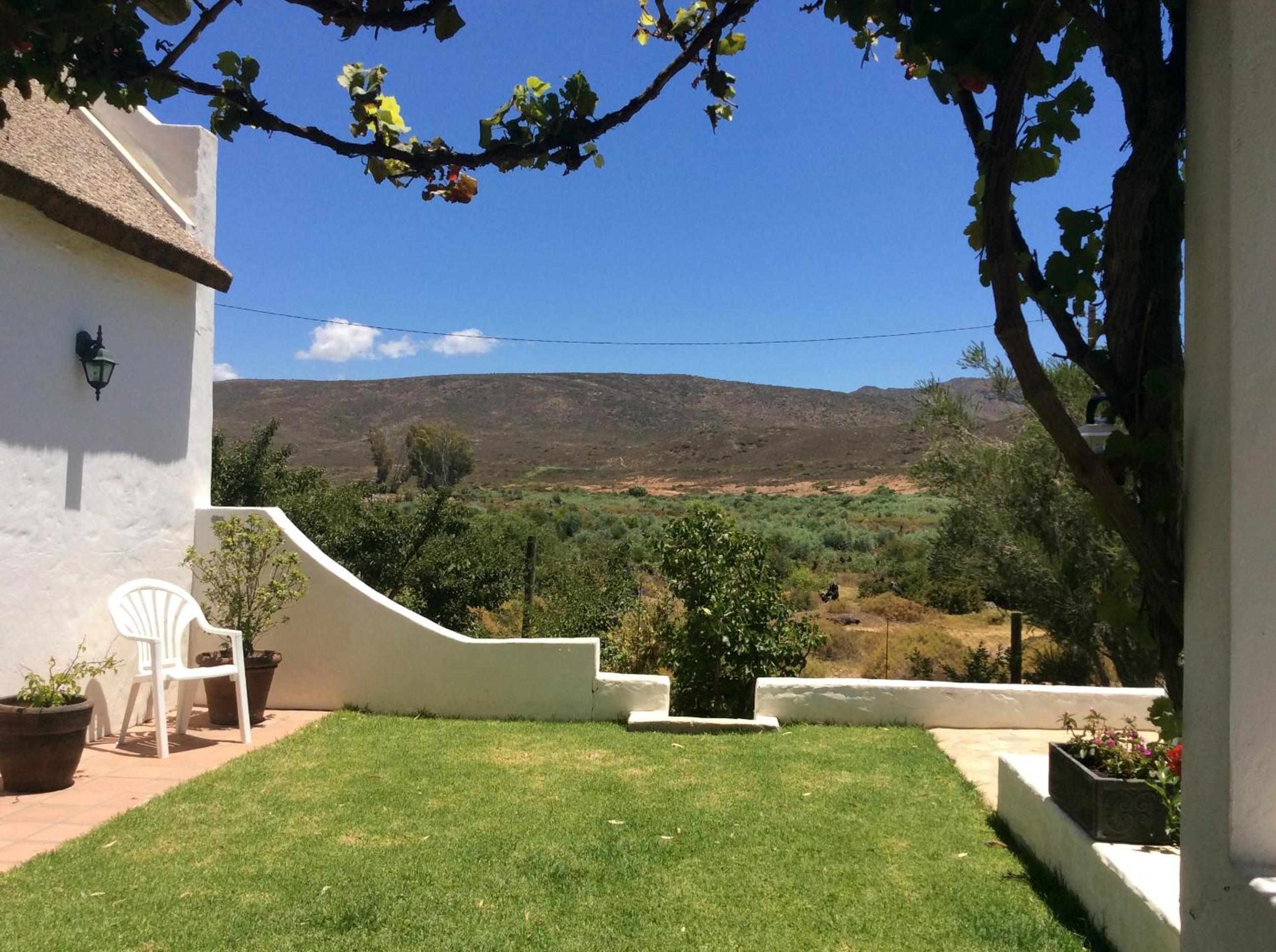 Plum Tree Cottage view 3