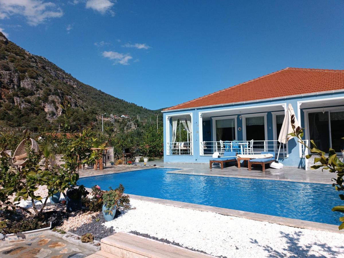Villa Dionyssos — photo 2