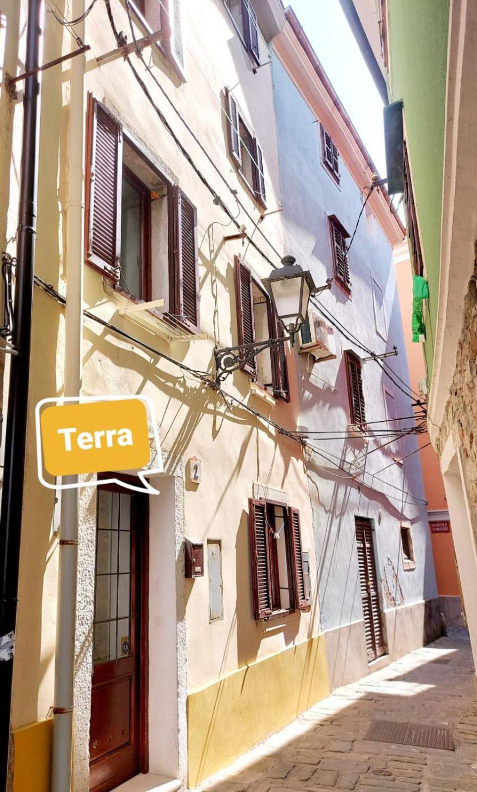 Terra Apartments
