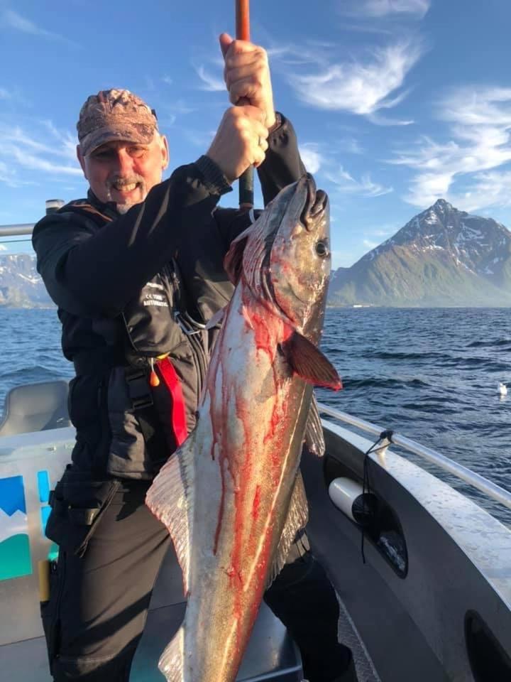 Lofoten and Vesterålen Kveldro