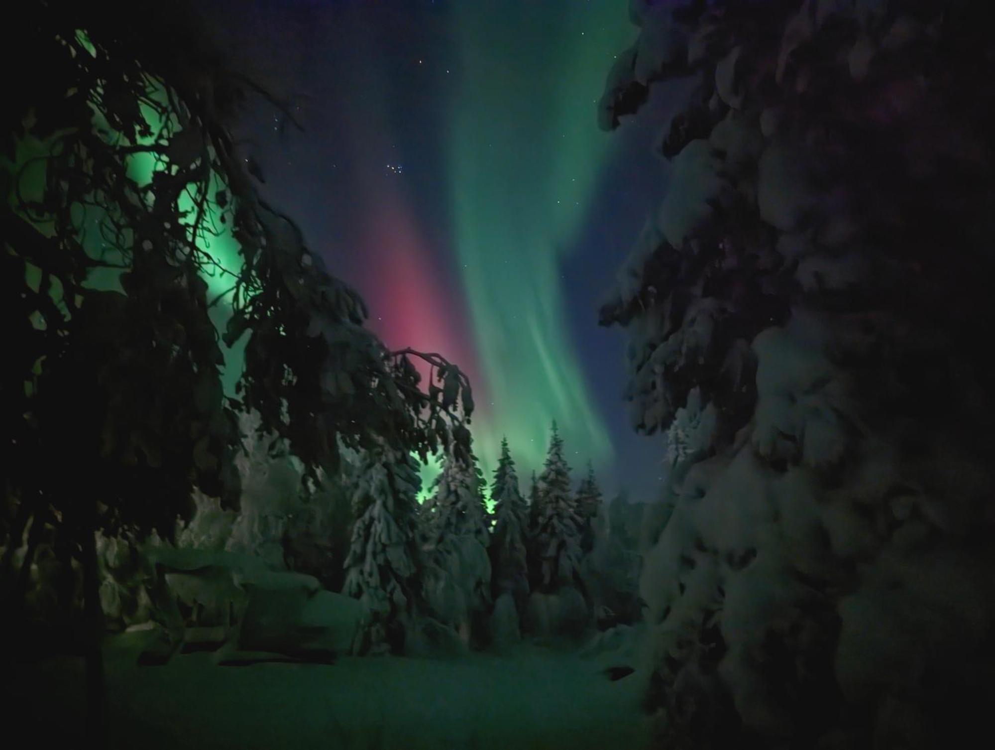 Lapland Snow Cabin