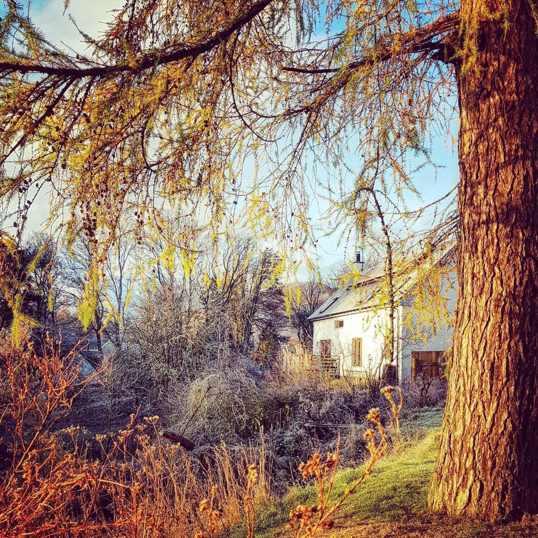 Photo 12