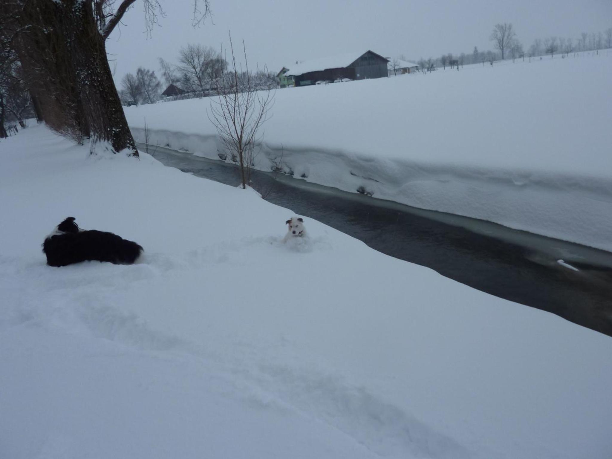 Photo 24
