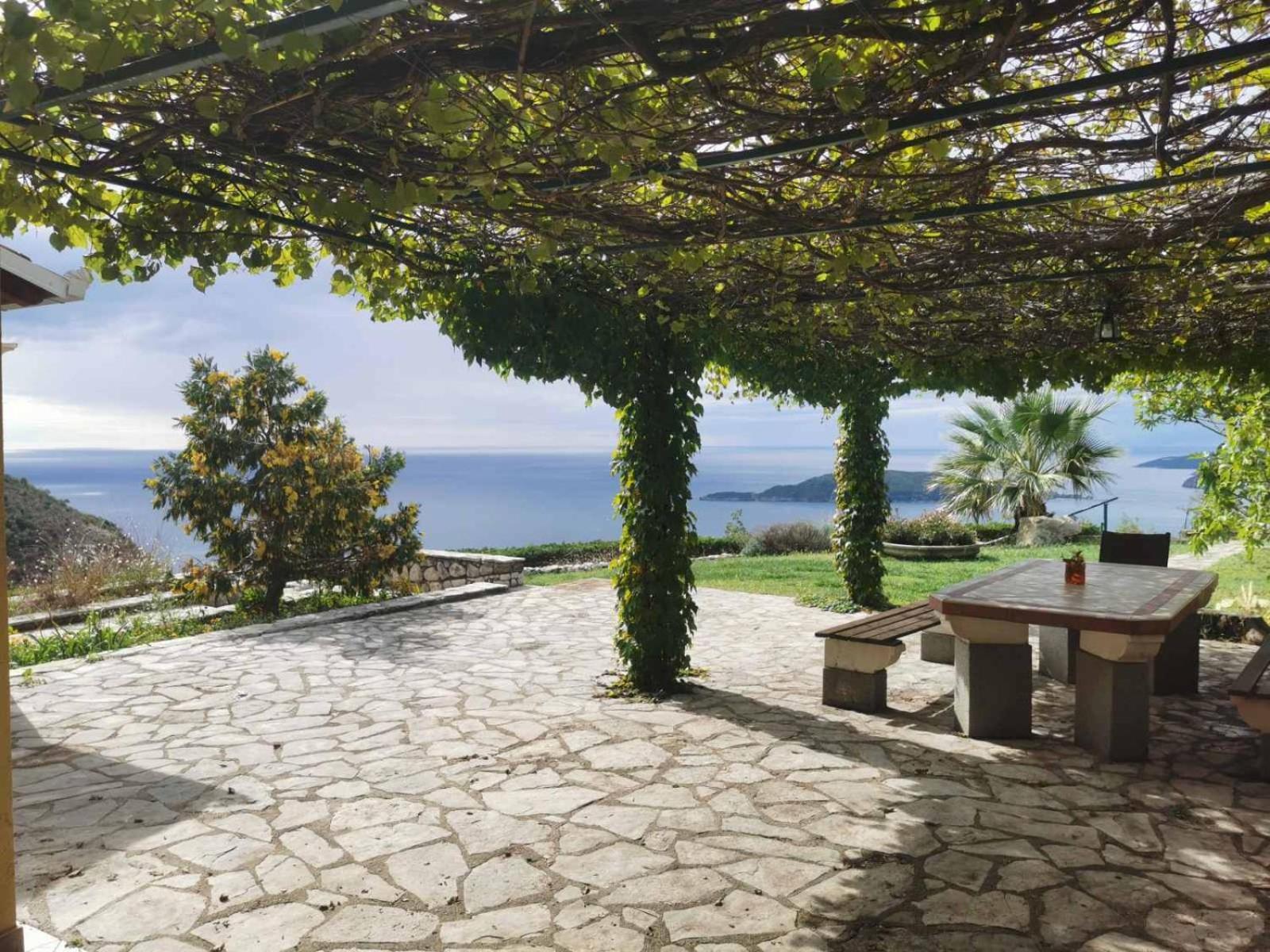 Lux Villa Provence view 2