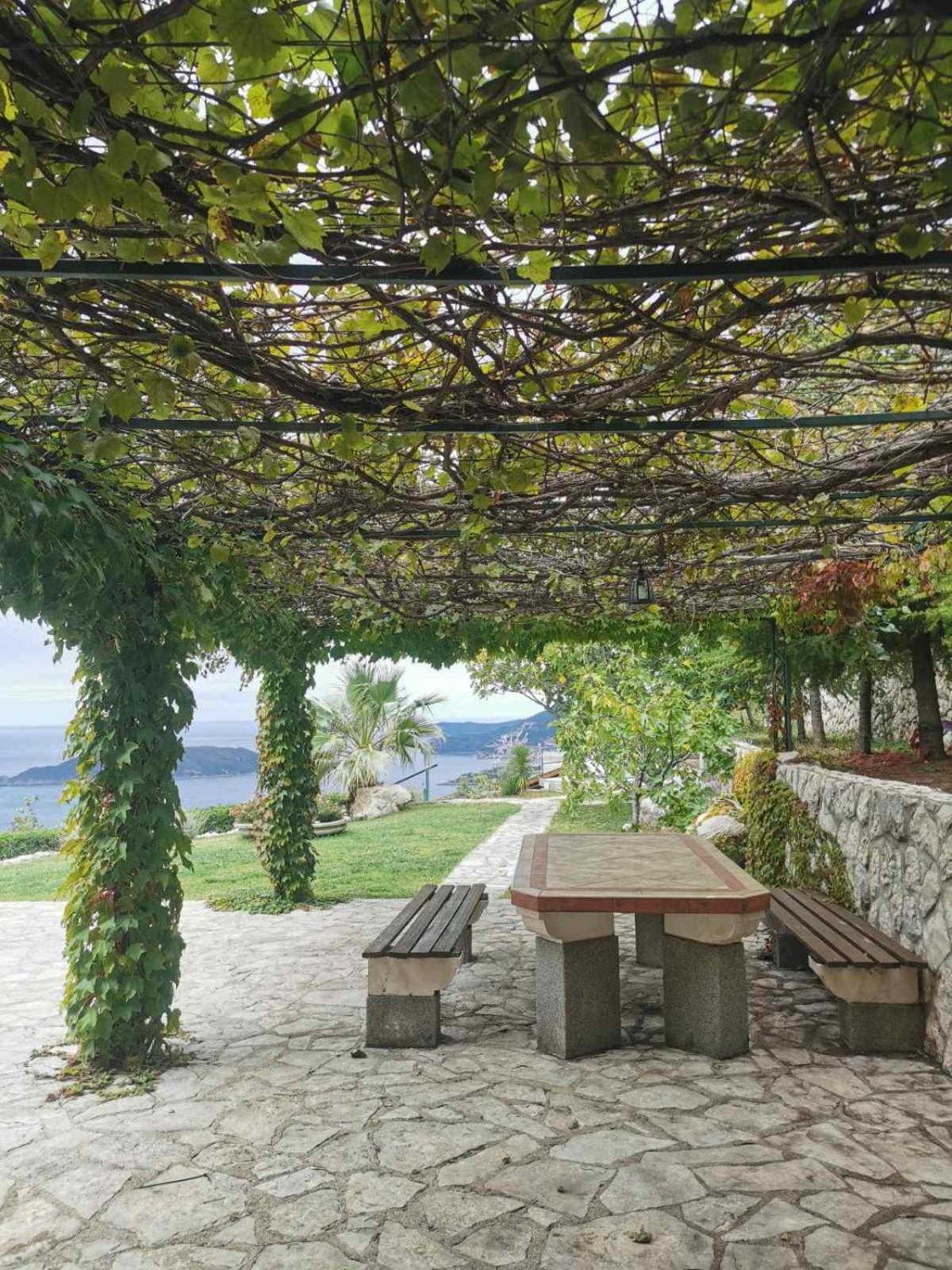 Lux Villa Provence view 5