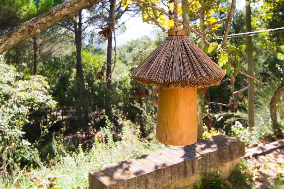 Catalunya Casas: Spacious Villa Vera up to 24 guests, a short drive to Blanes! view 3