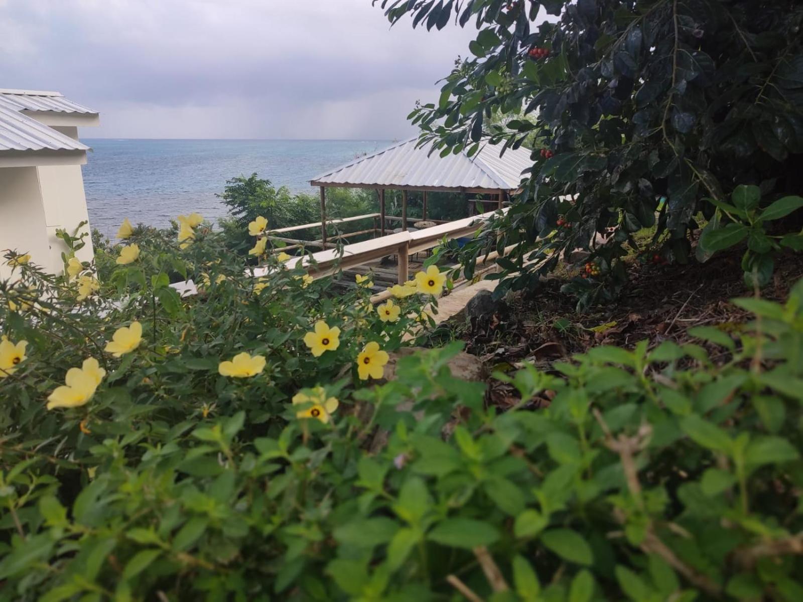 Maracaibo View