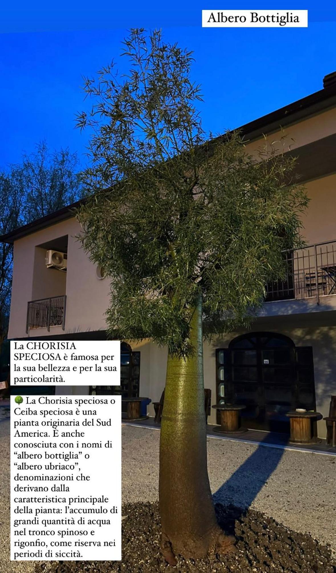 Agriturismo Il Pozzo, photo 58
