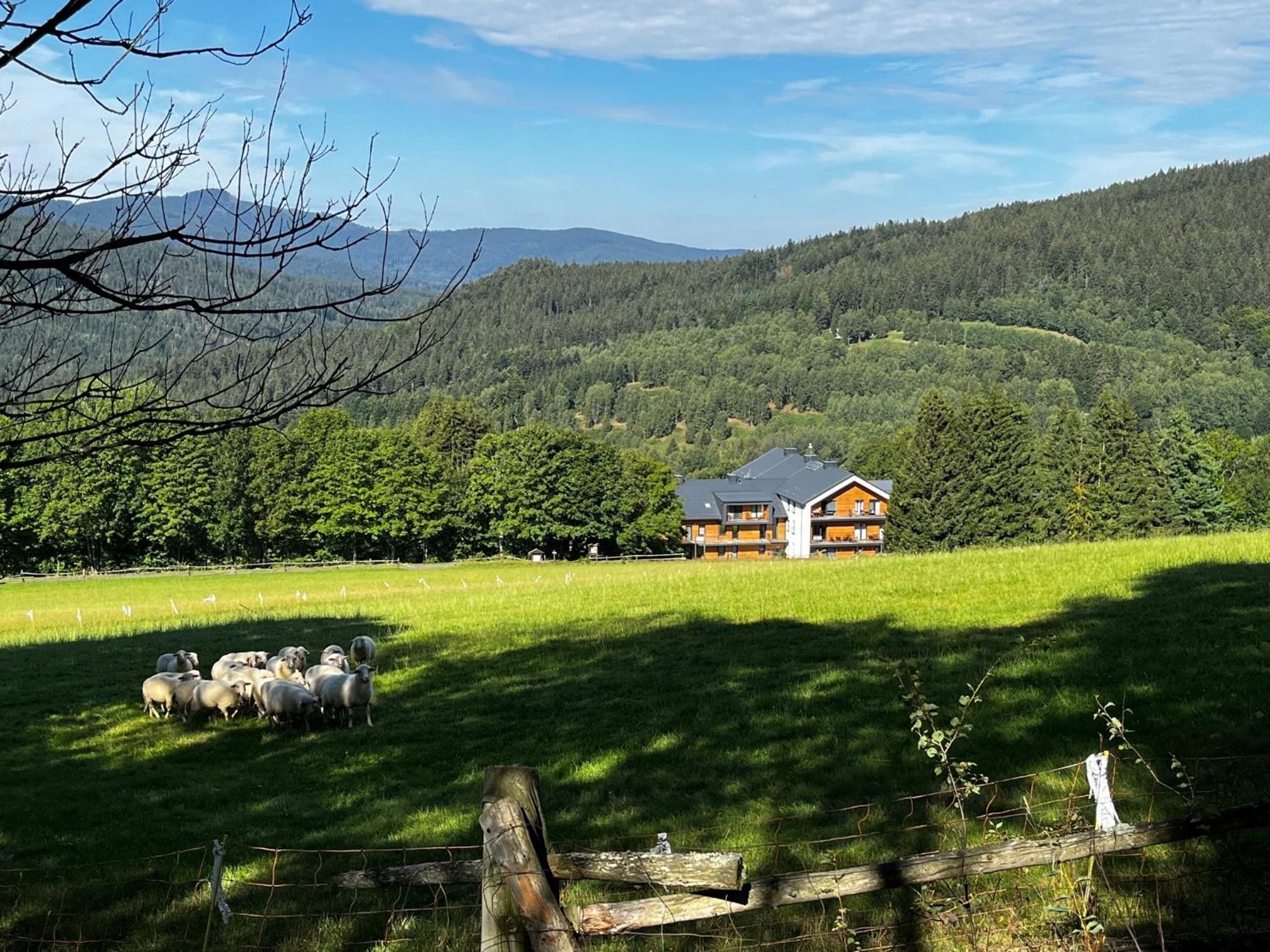 Apartmán Anna Viktoria v Brčálníku view 2