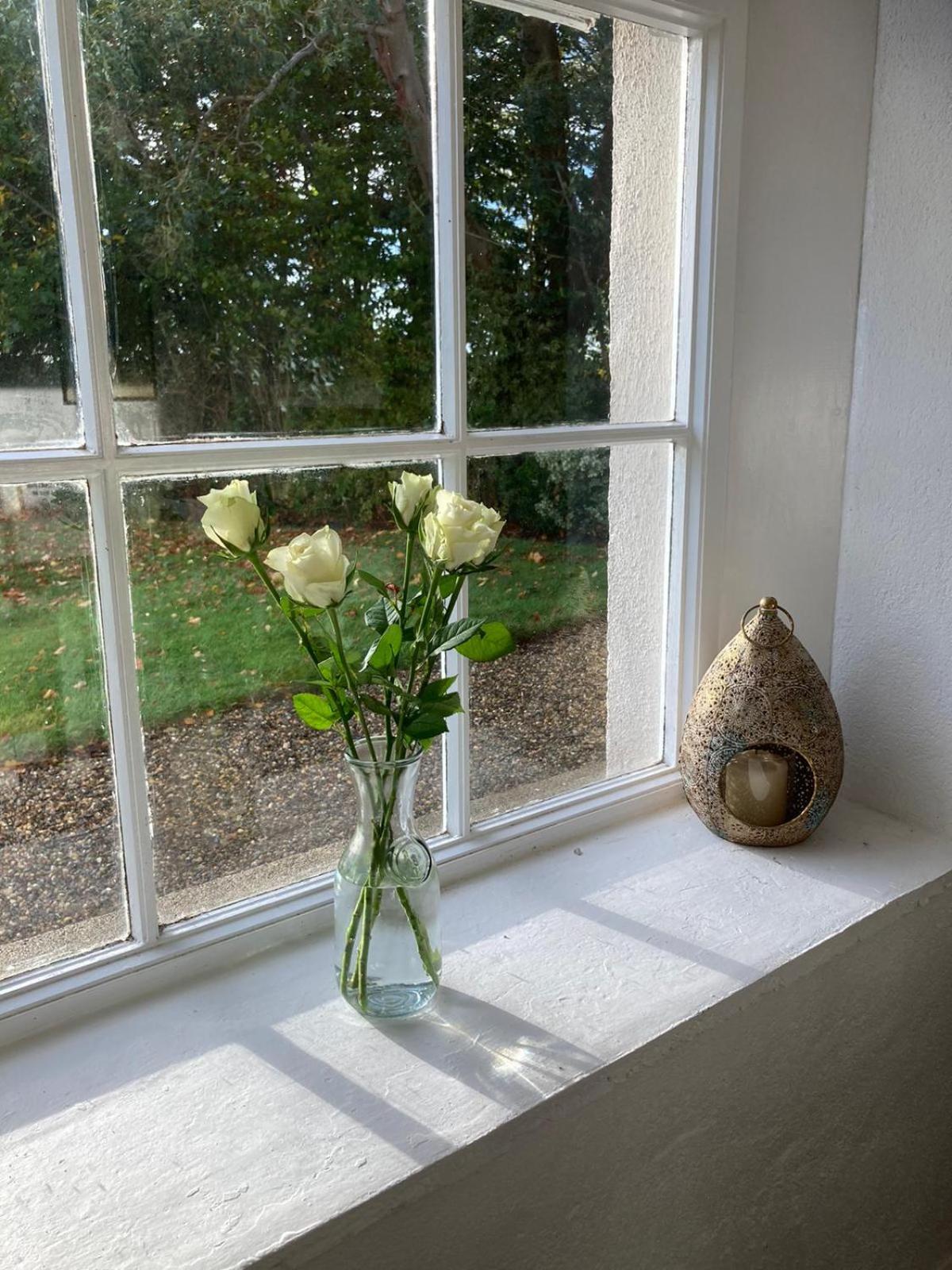 Kilpatrick Glebe - House and Beach Studio - Pet Friendly view 3