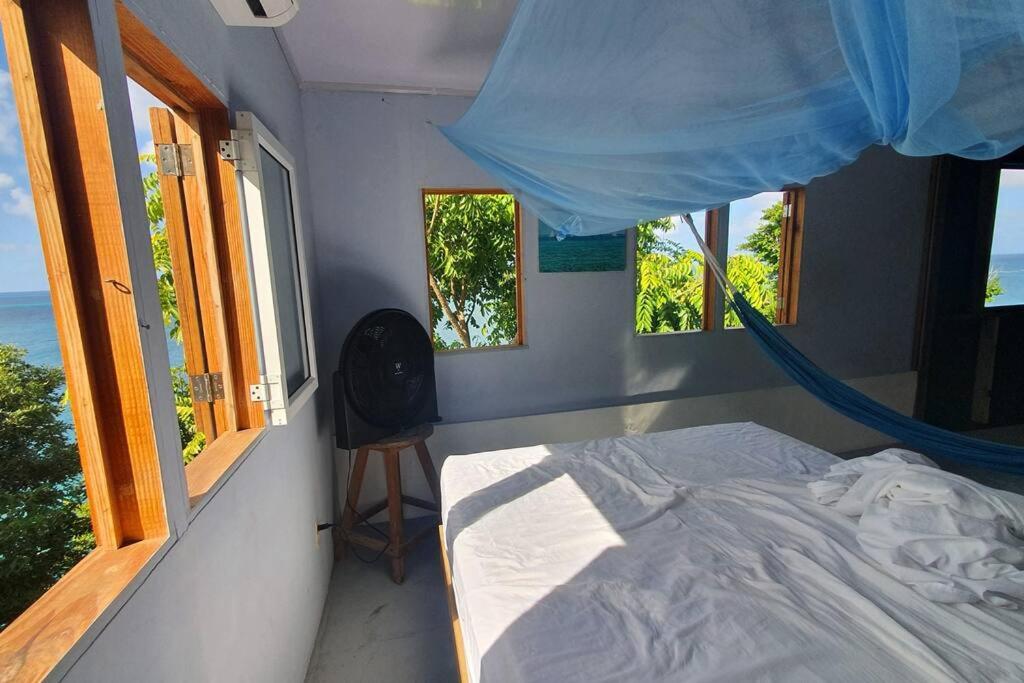 Bellavista - Blue Lizard Studio