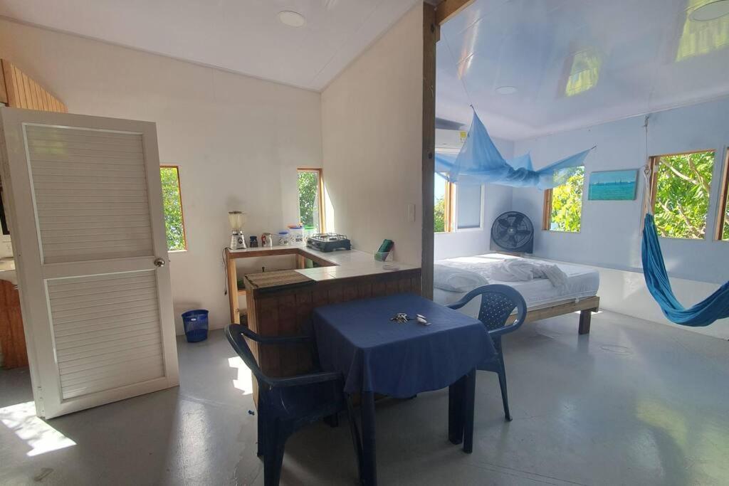 Bellavista - Blue Lizard Studio