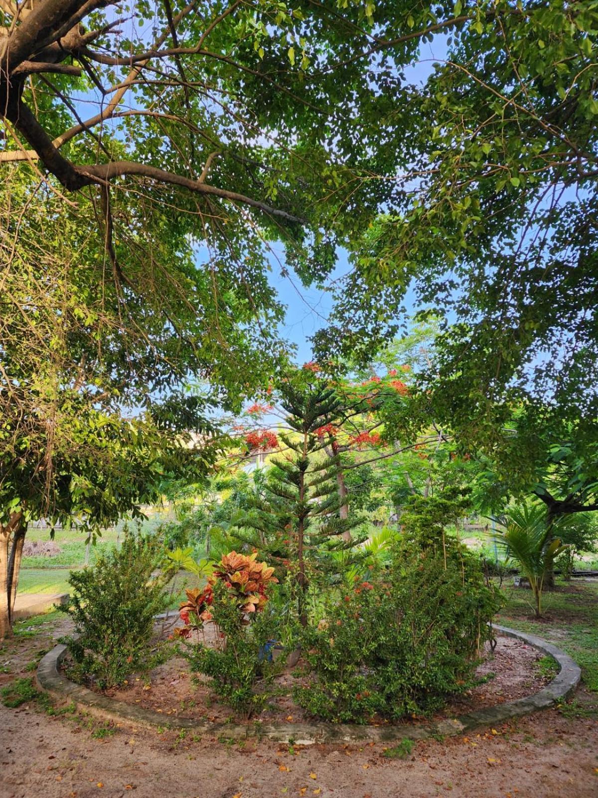 Apartamento com 3 quartos para até 6 pessoas