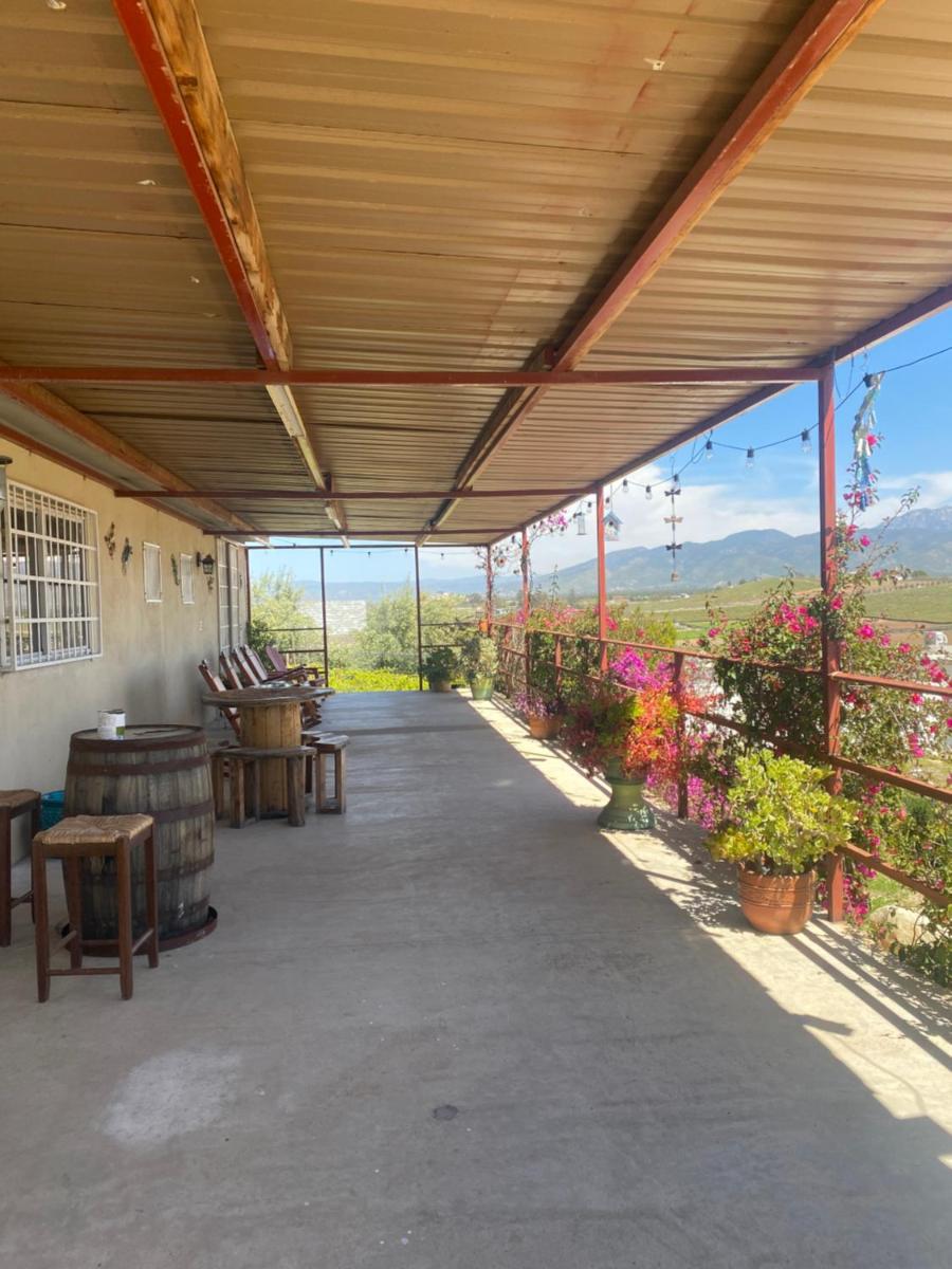 Finca Rositas view 2