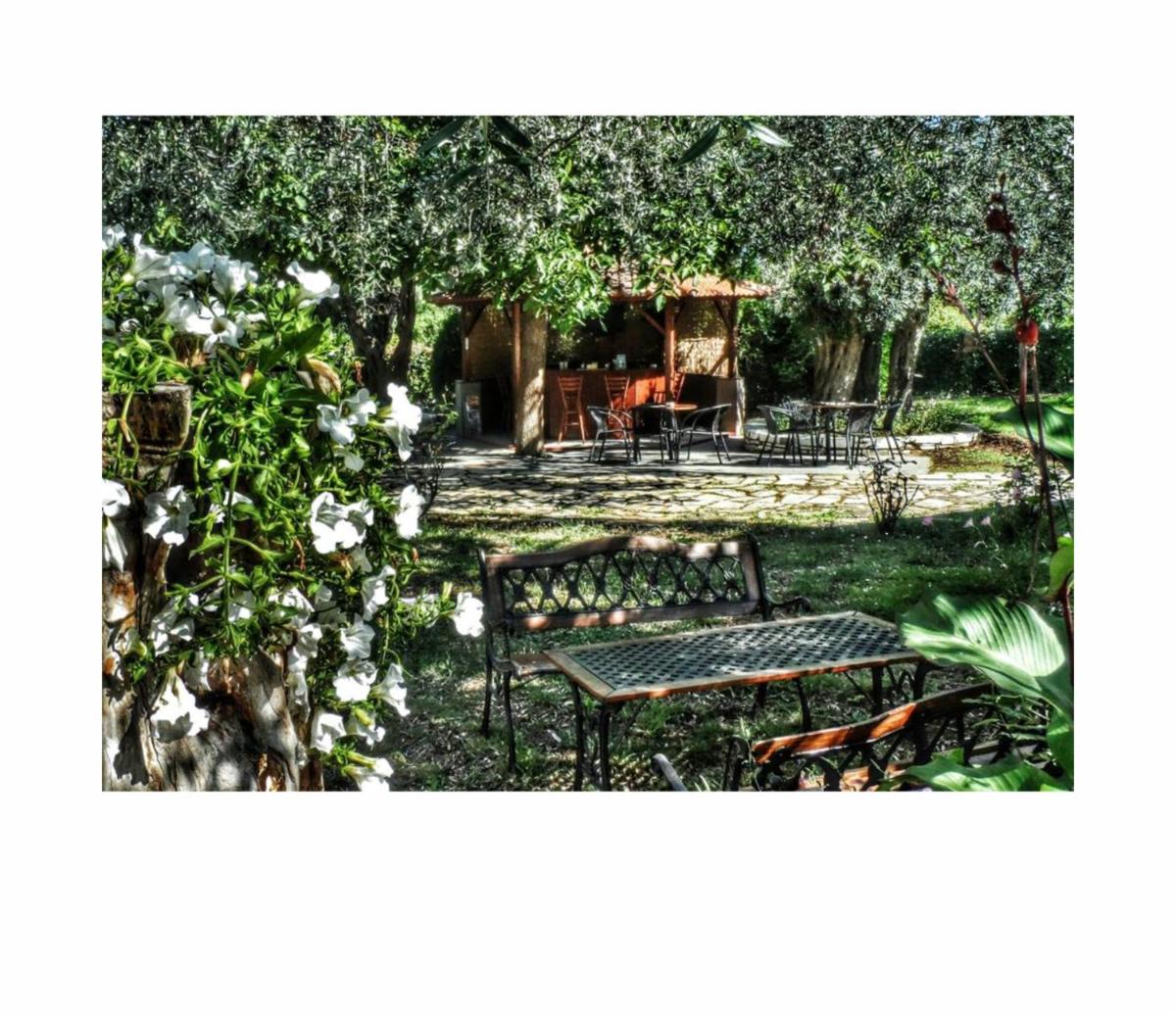 outdoor BBQ area