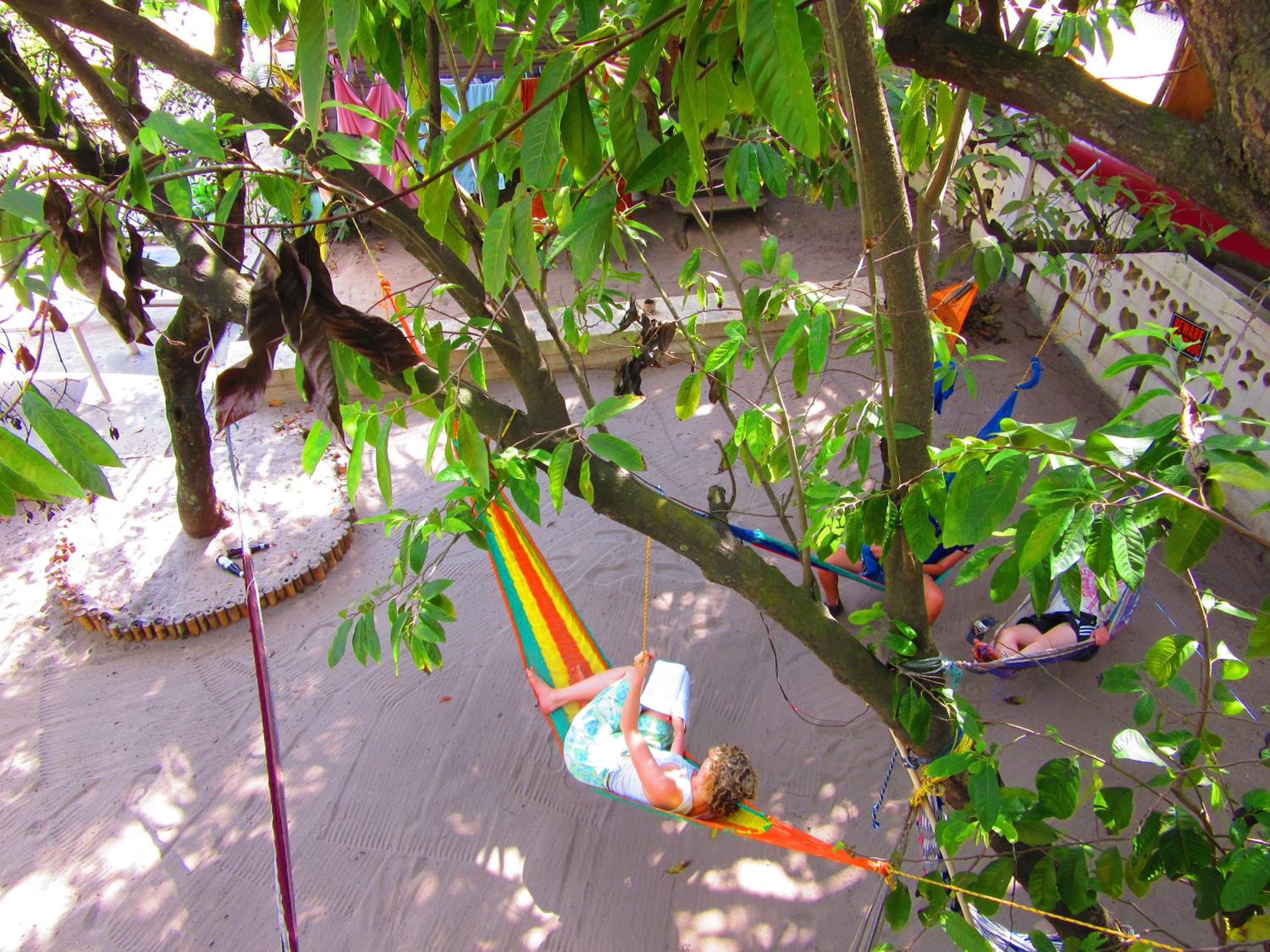 The Funky Dodo Backpackers Hostel