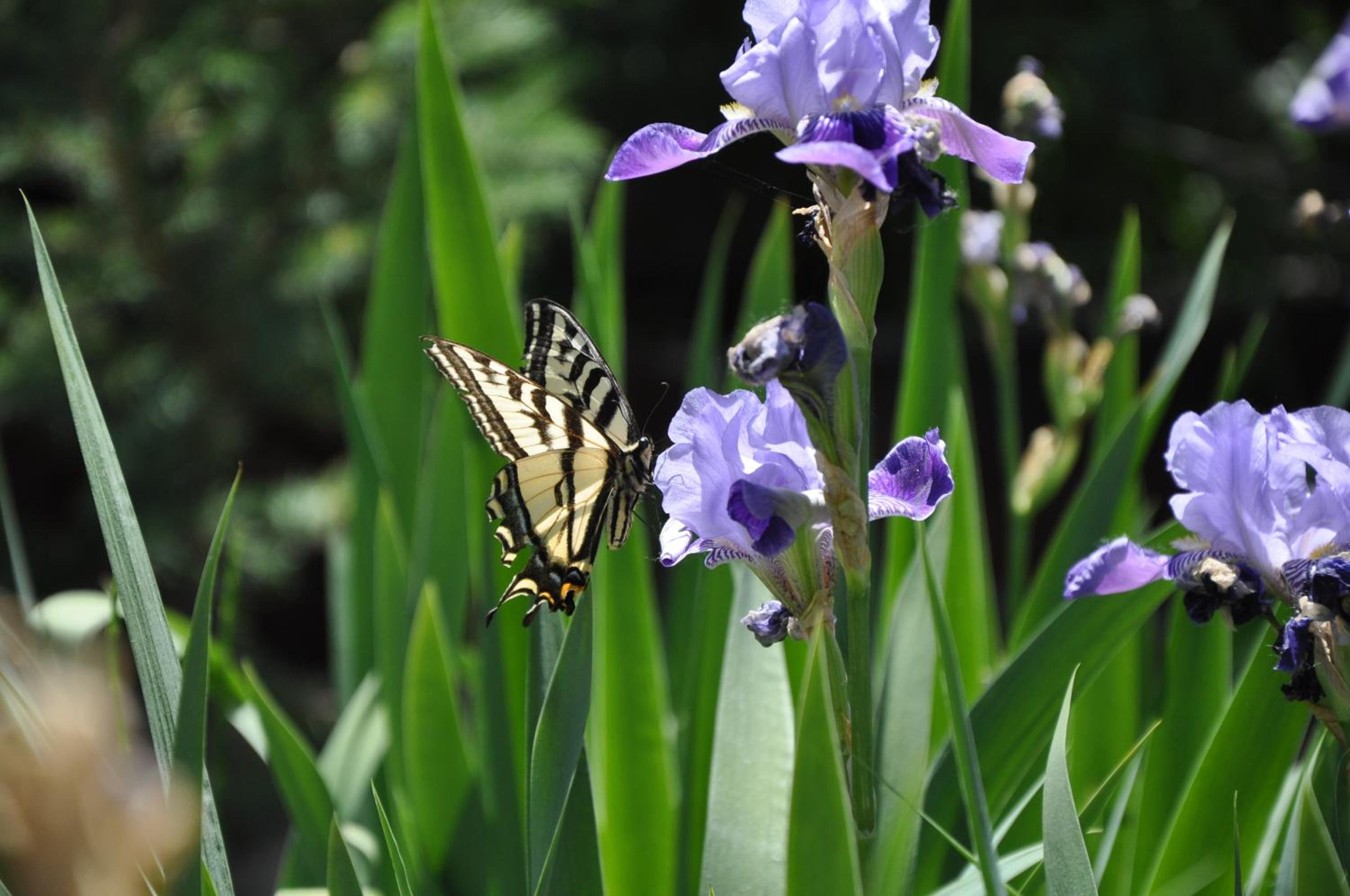 Gunnison Vacations - Long Holiday Motel - Property Image 38