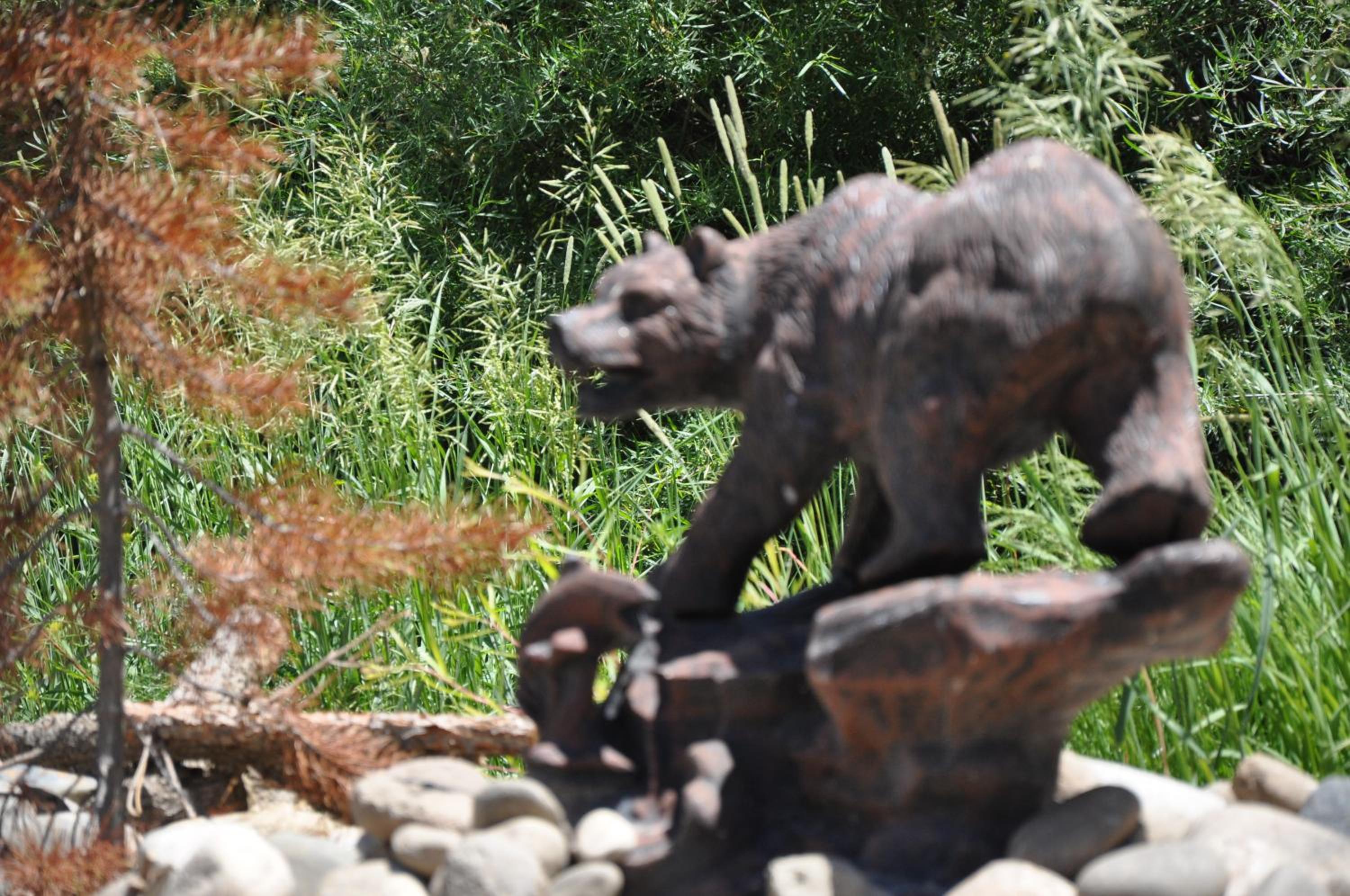 Gunnison Vacations - Long Holiday Motel - Property Image 39