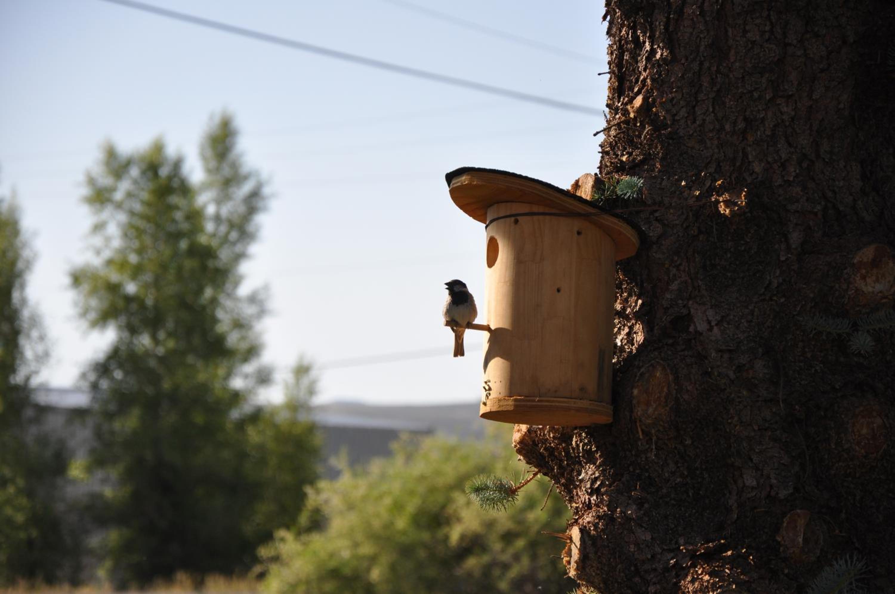 Gunnison Vacations - Long Holiday Motel - Property Image 40