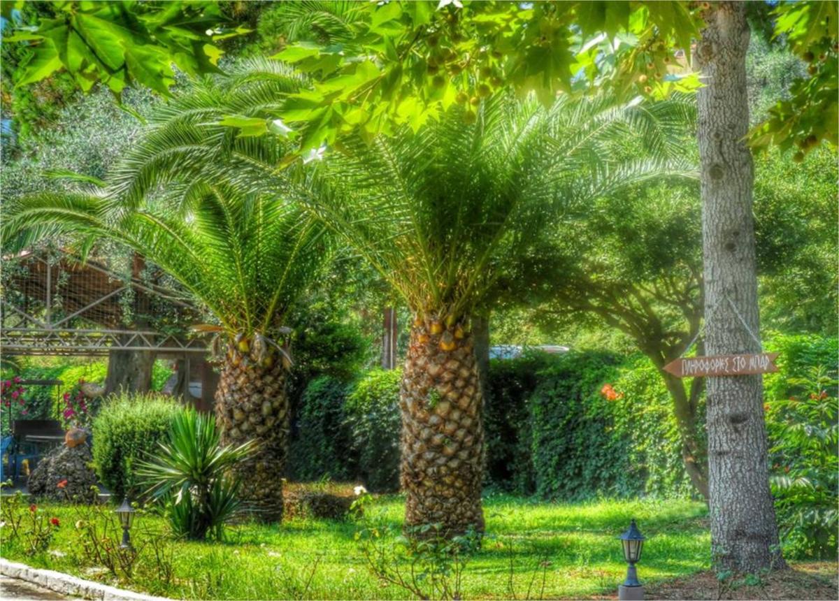 garden