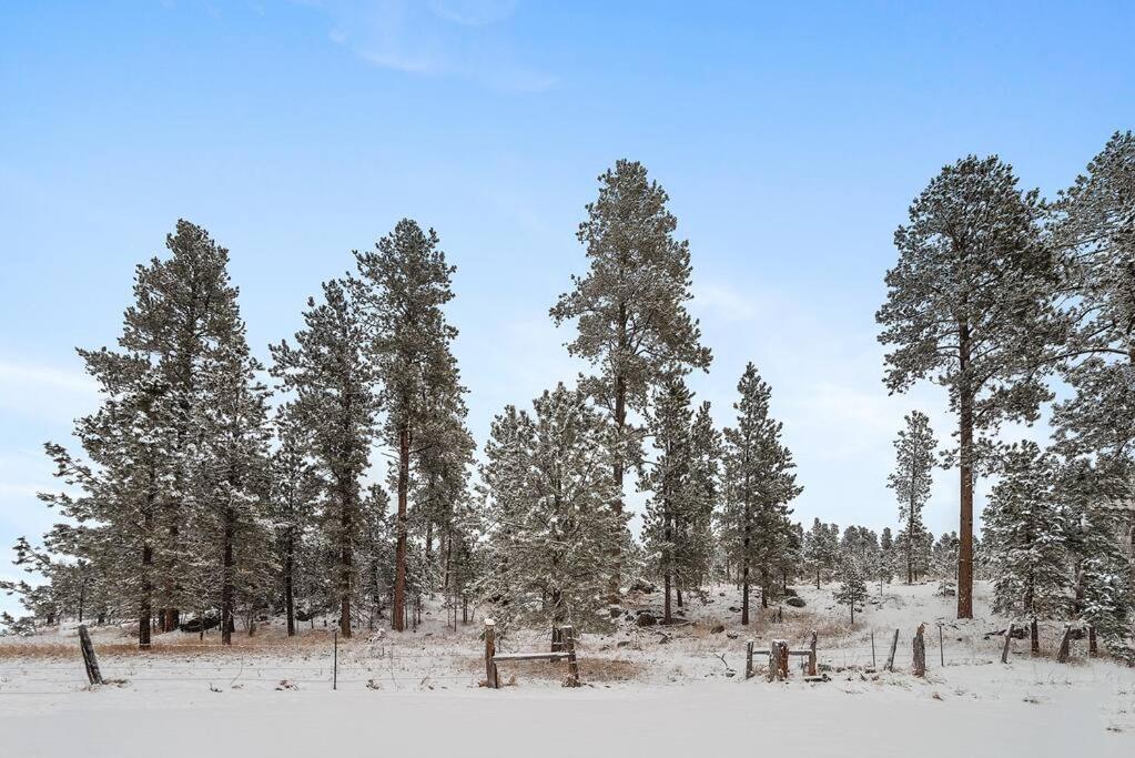Secluded Black Hills Cabin view 4