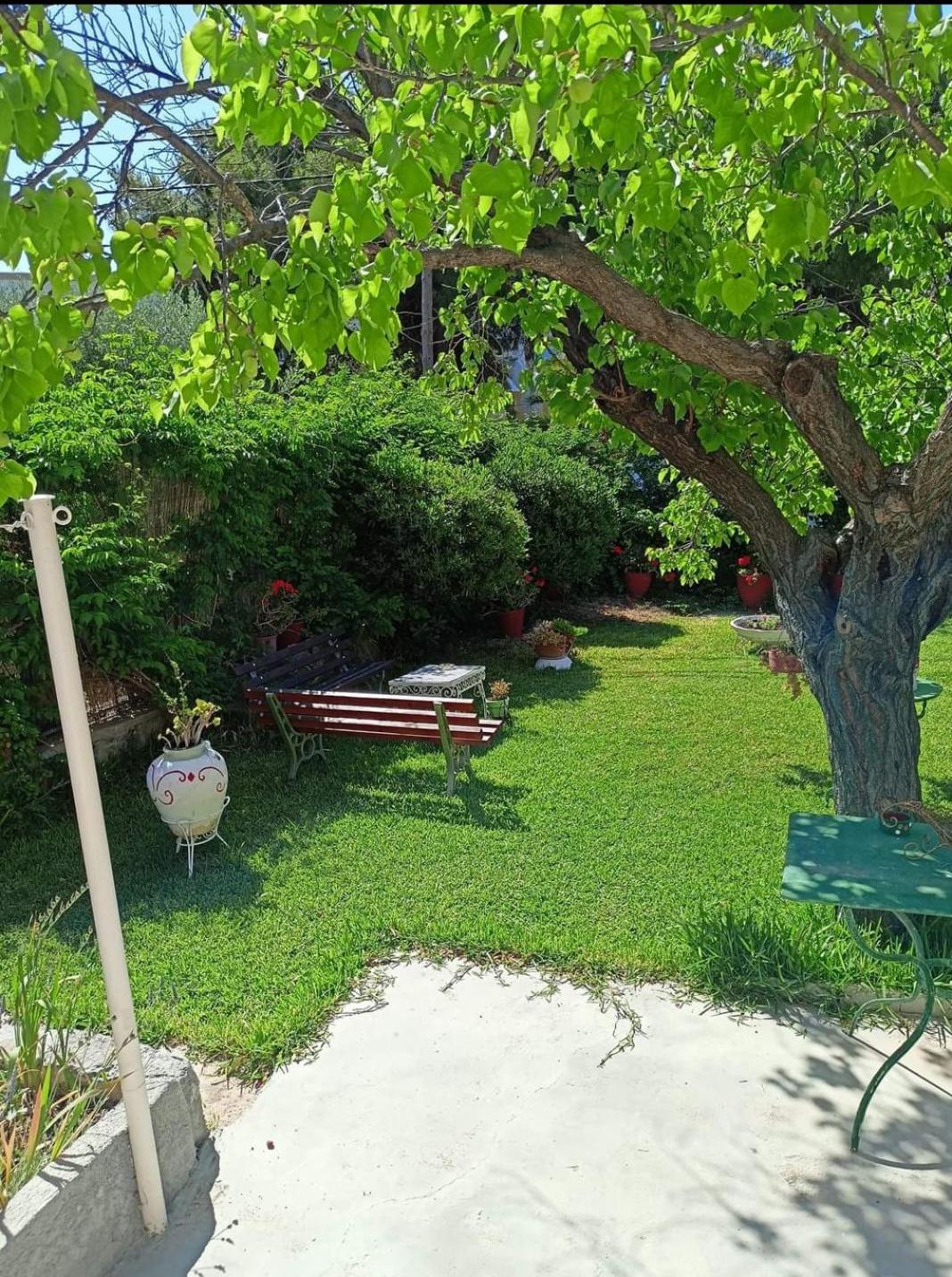 garden