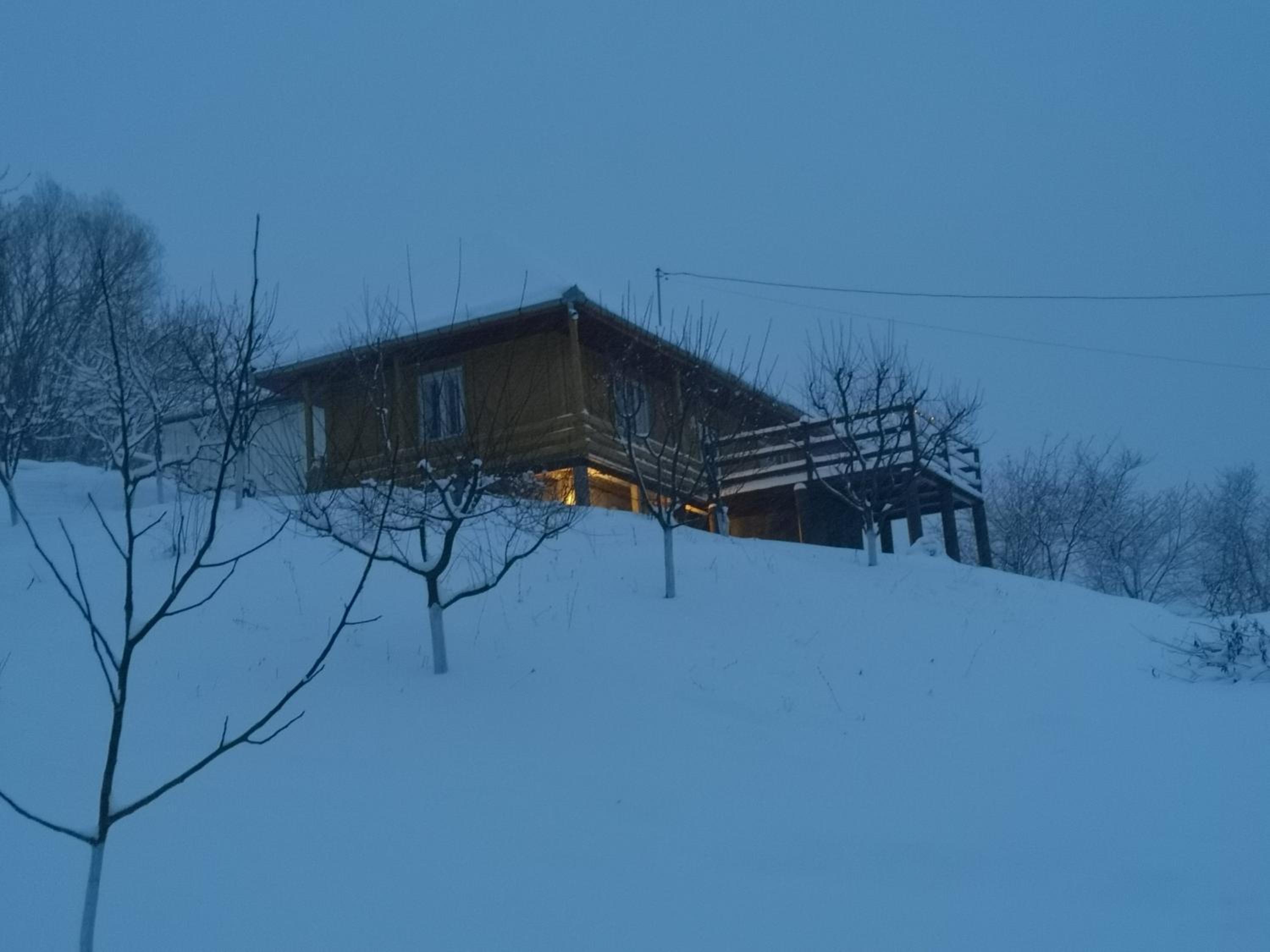 Photo 11