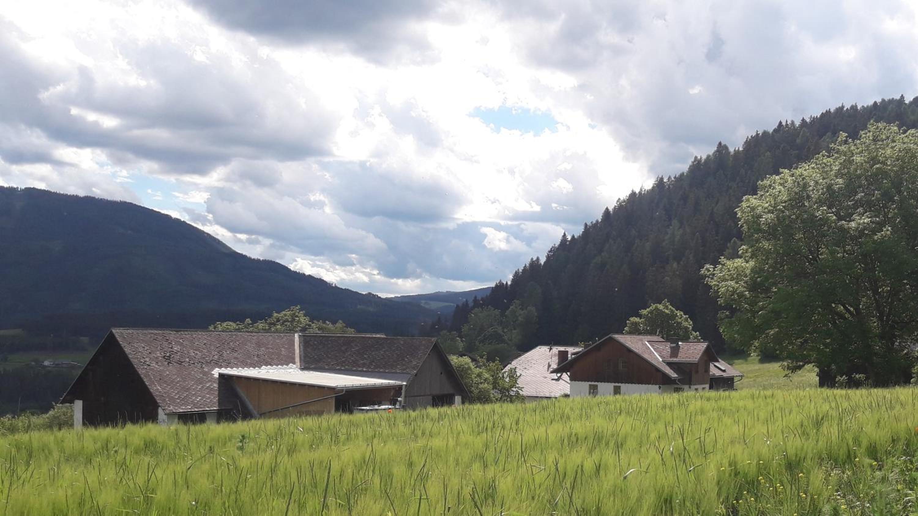 Naturpark Bauernhof Sperl