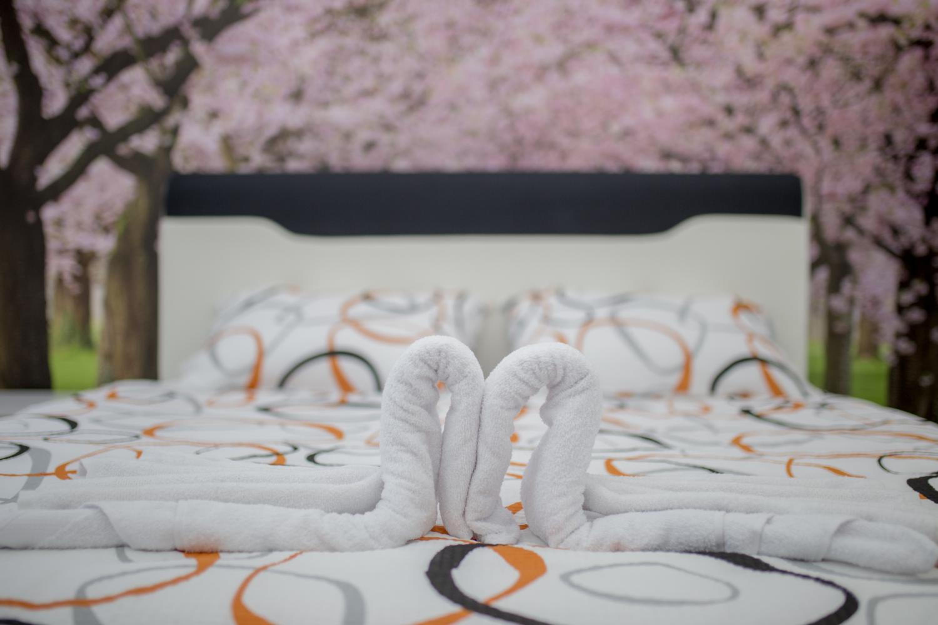 Apartment LUX 2