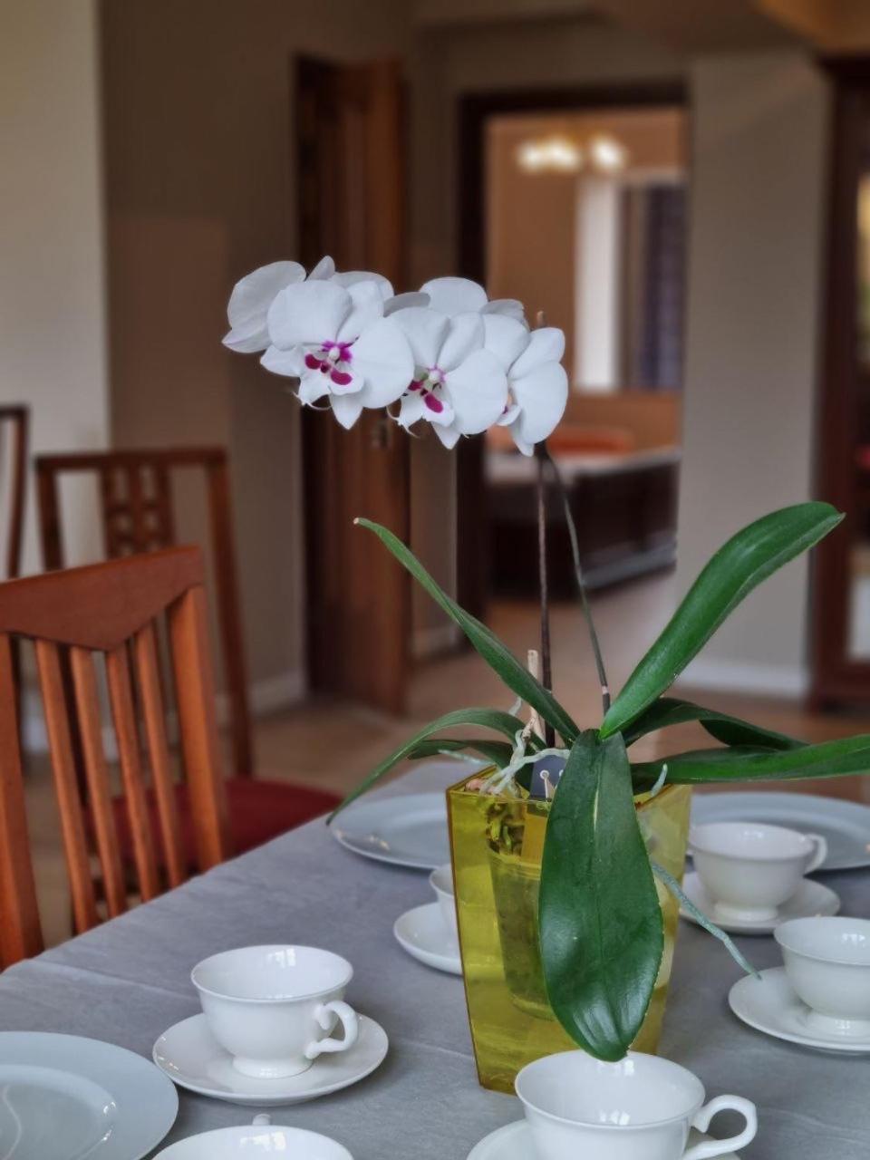 Cozy Spacious Apartment in City Center 60m2 view 2