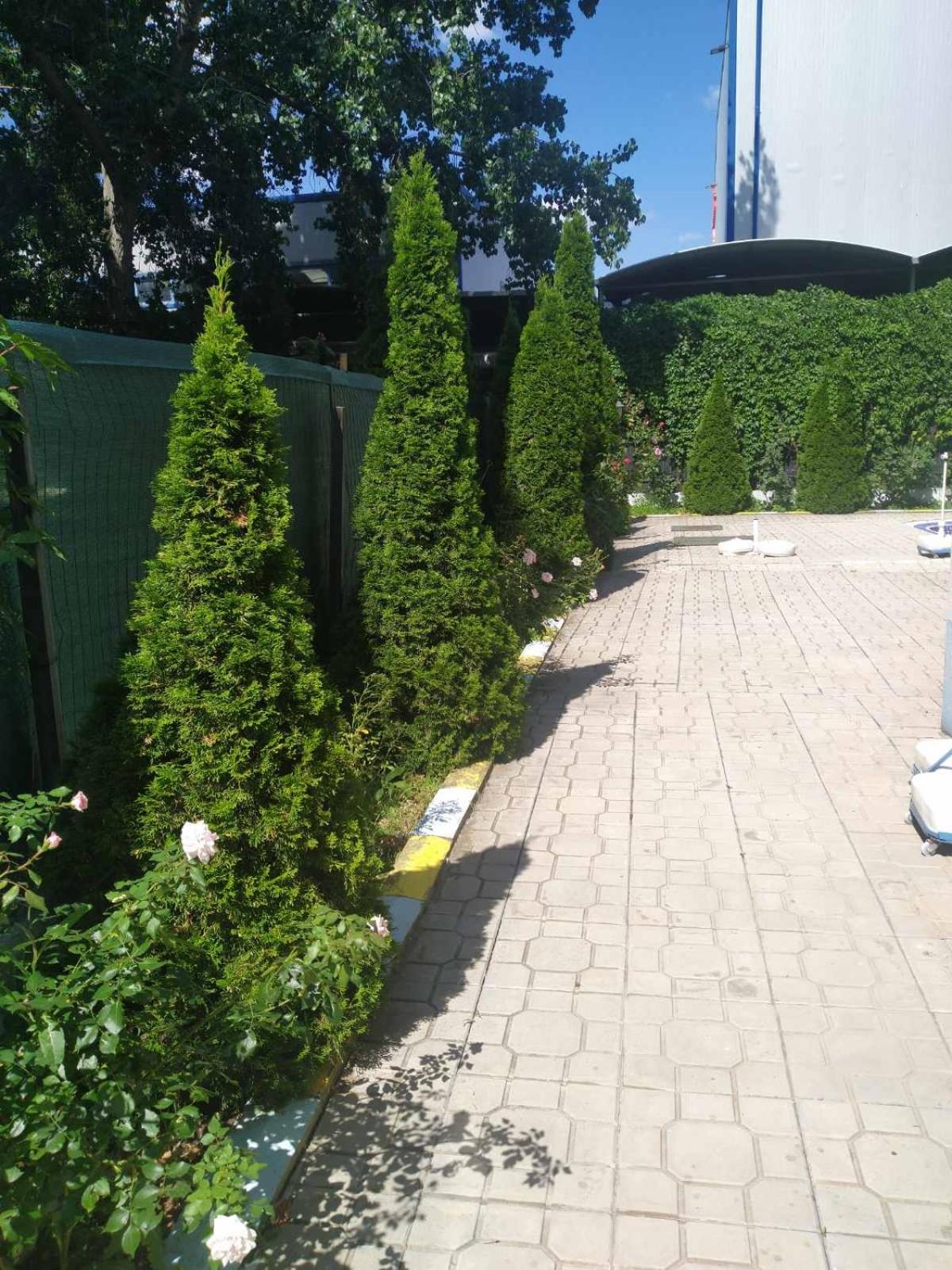 VIOLET GARDEN 2 Veranda Apartment
