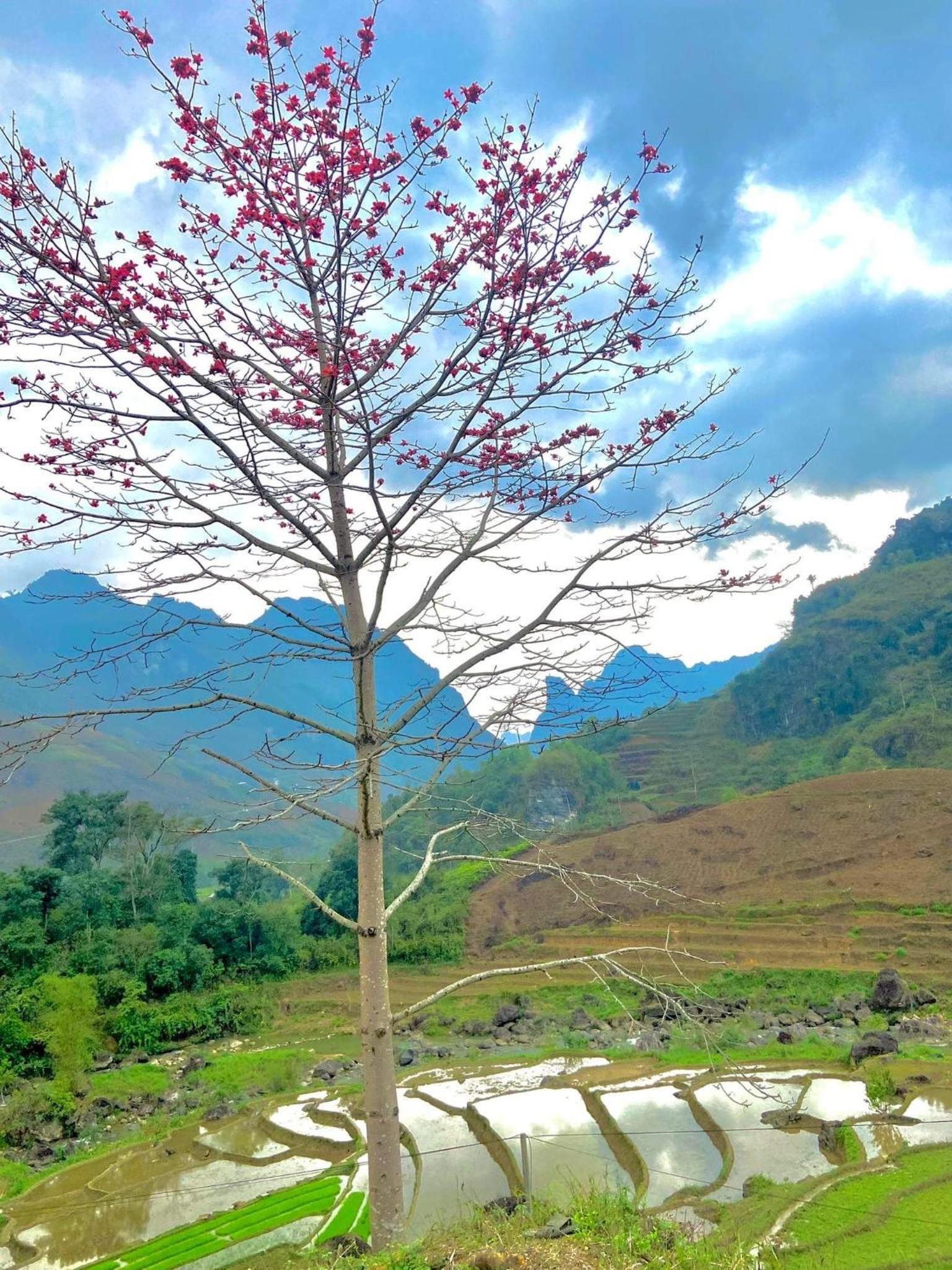 Du Gia Field View Homestay