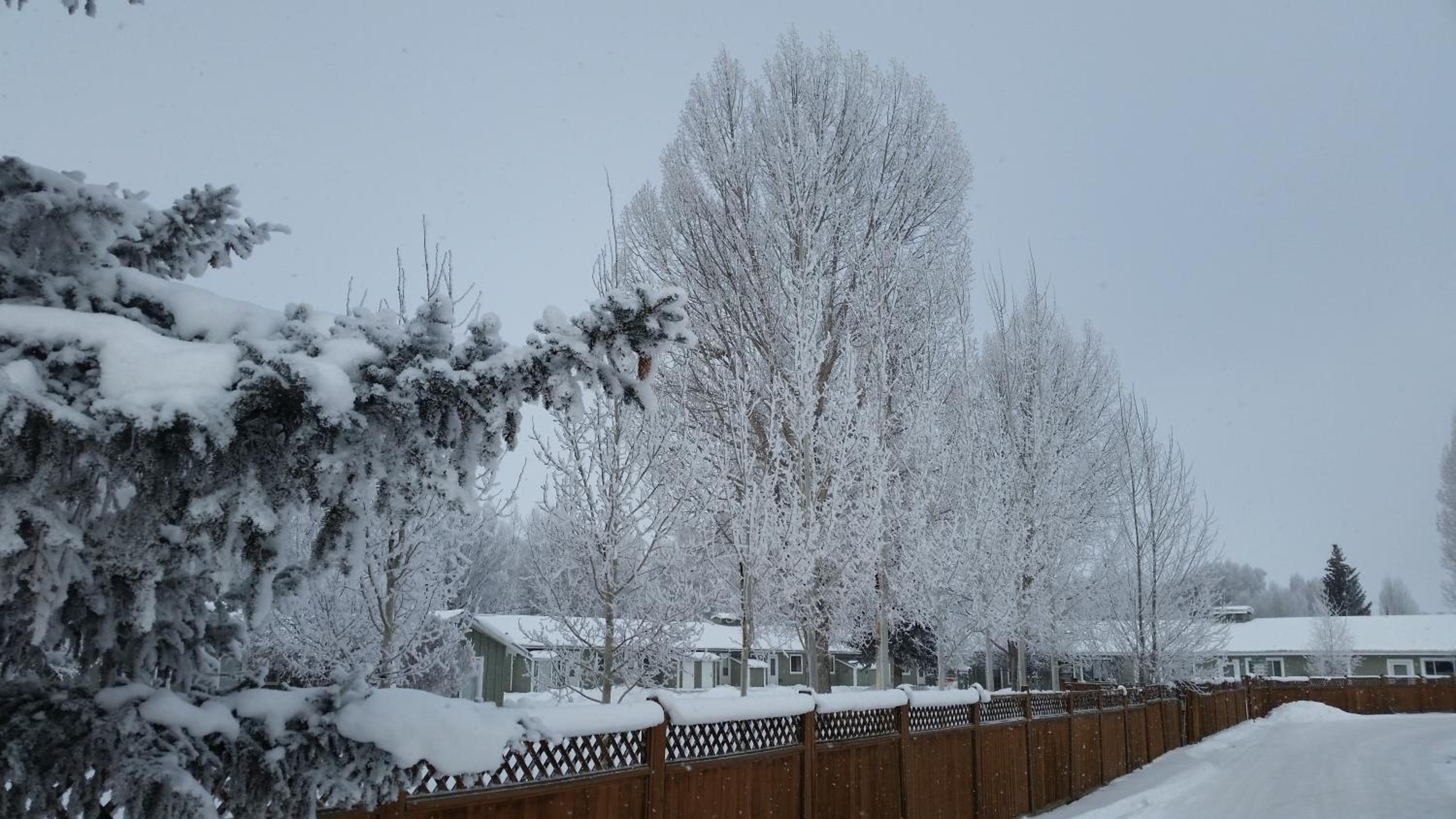 Gunnison Vacations - Long Holiday Motel - Property Image 5