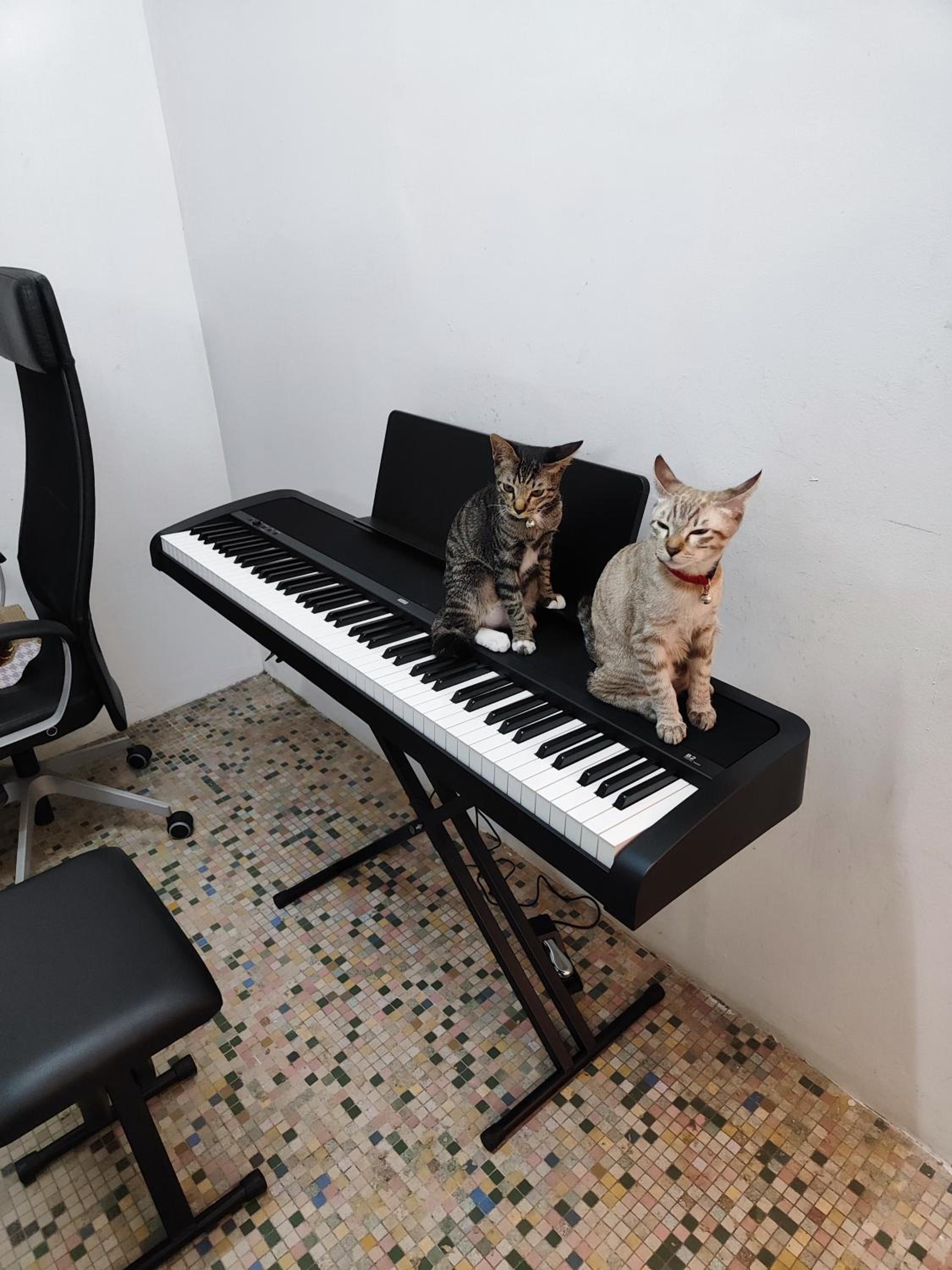 Digital Nomad House KL Bukit Bintang - 24&7 Coworking Access Included