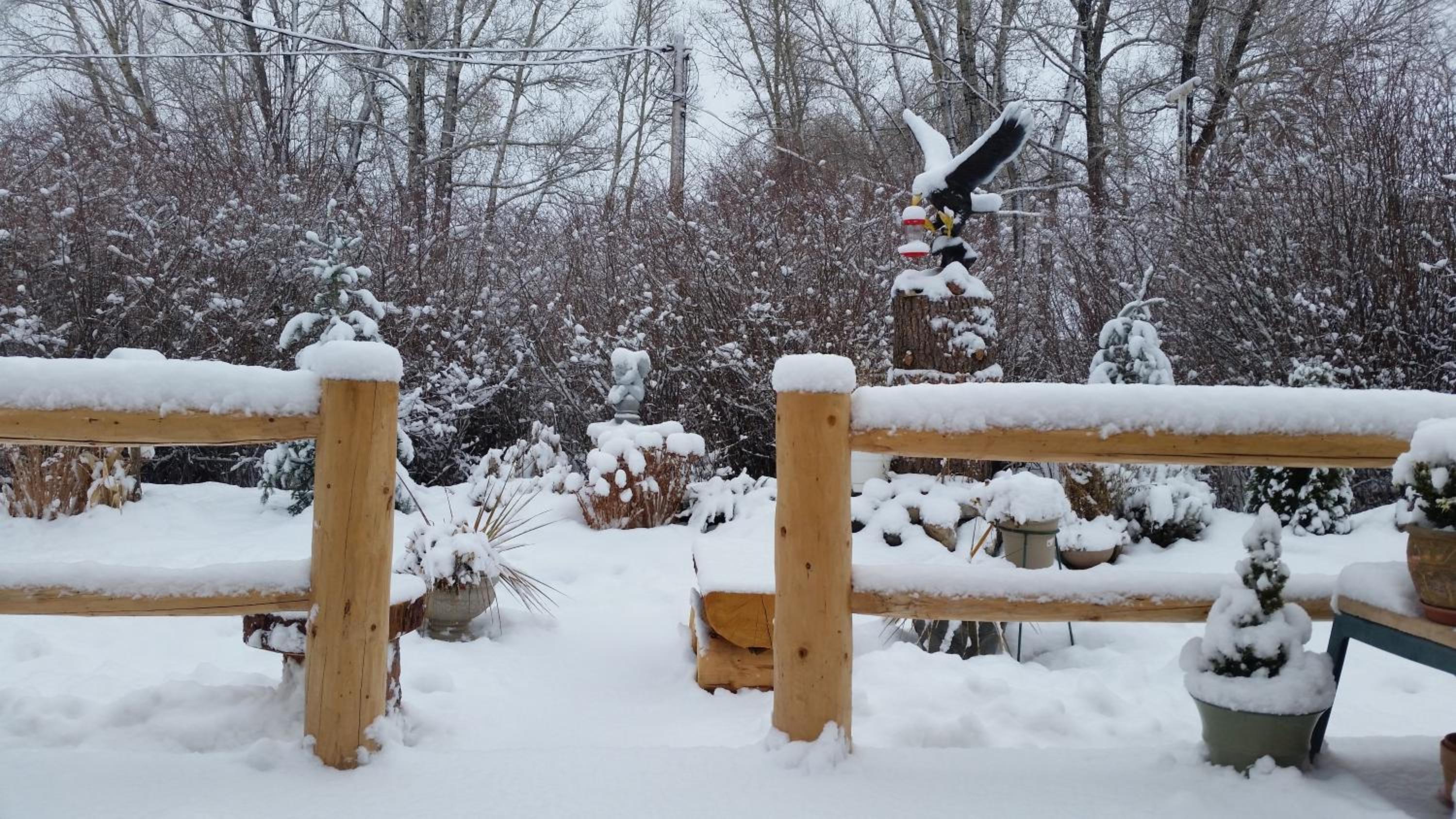 Gunnison Vacations - Long Holiday Motel - Property Image 6