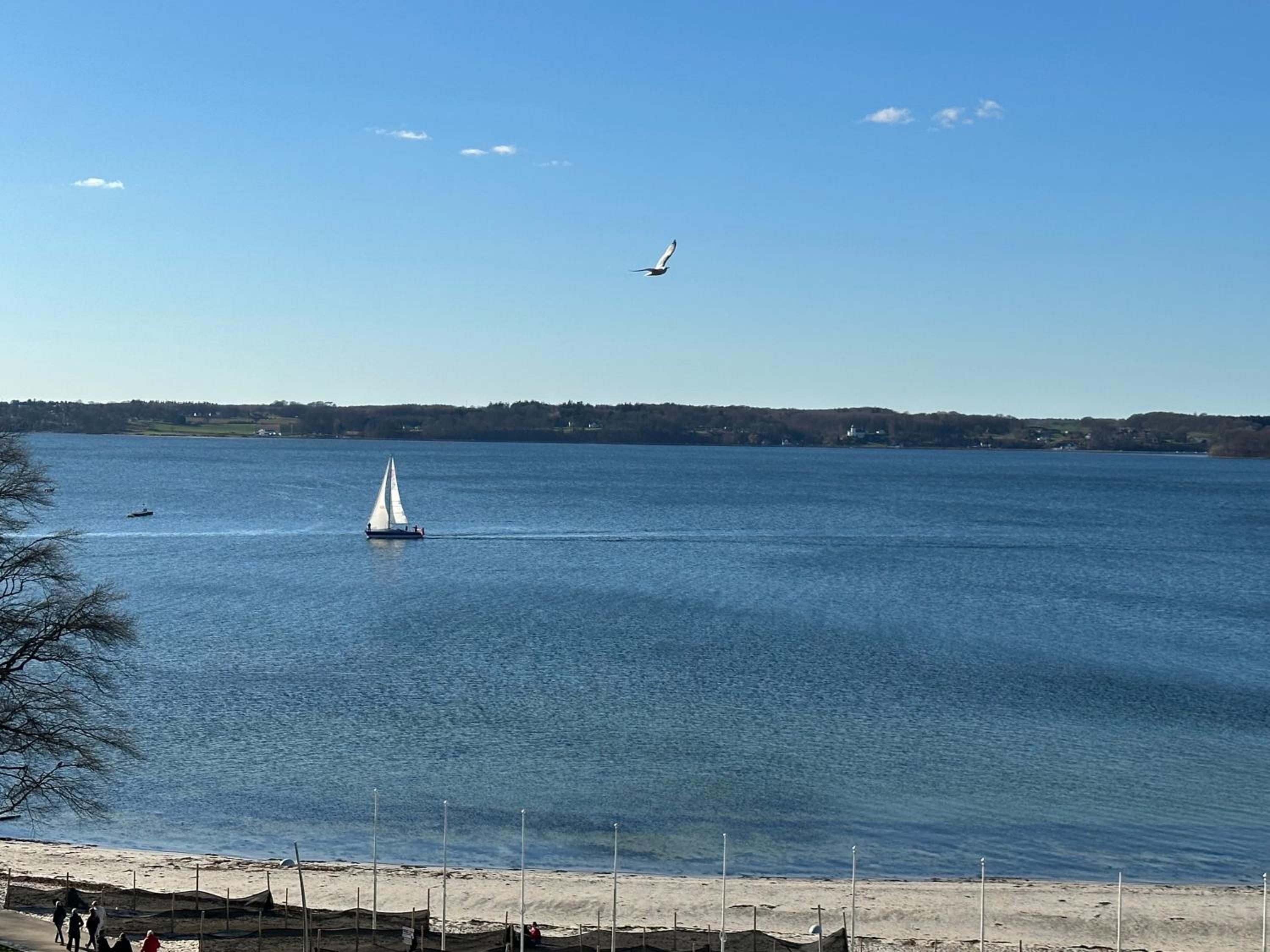 Weitblick - mit Strandkorb, mehr Meer geht nicht