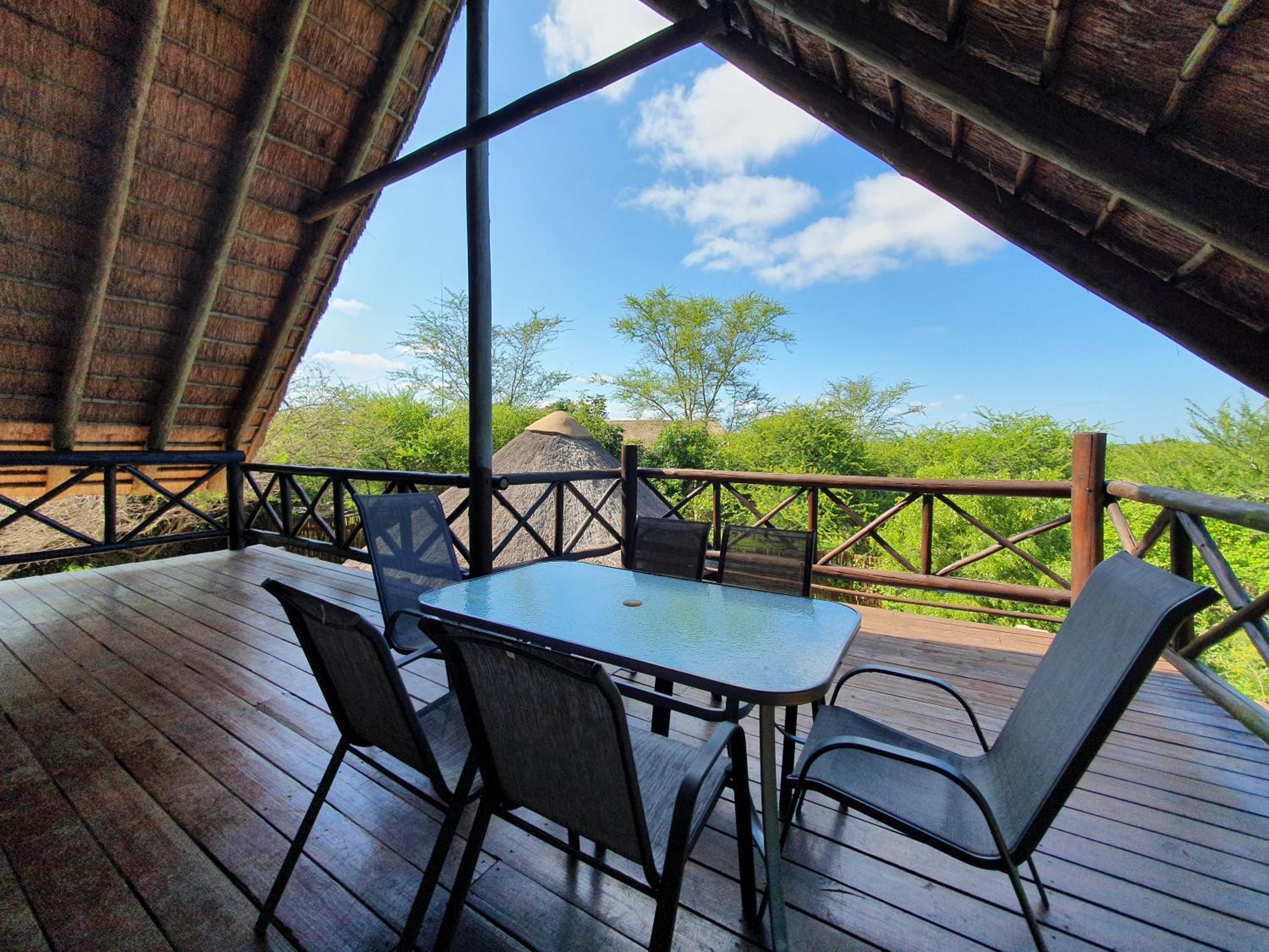 Giraffe plains view 5