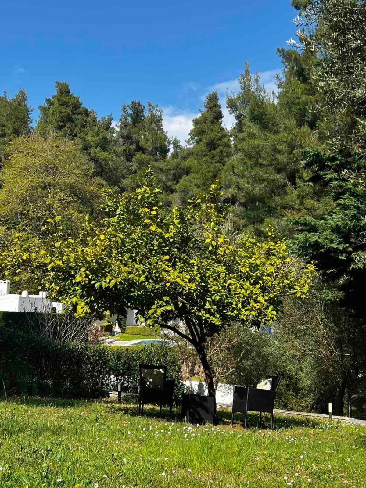 Sani Garden House view 2