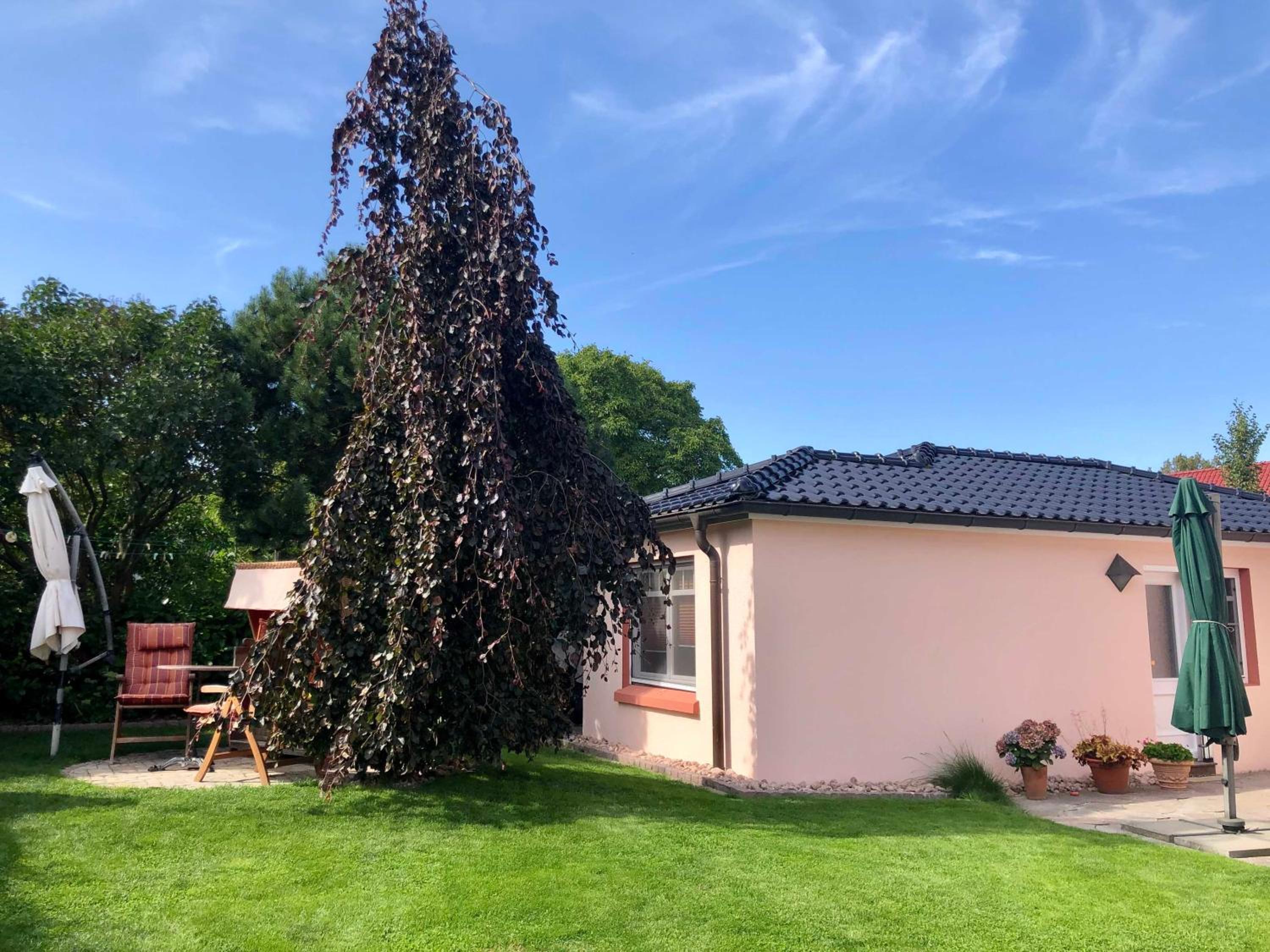 Ferienhaus Swantje
