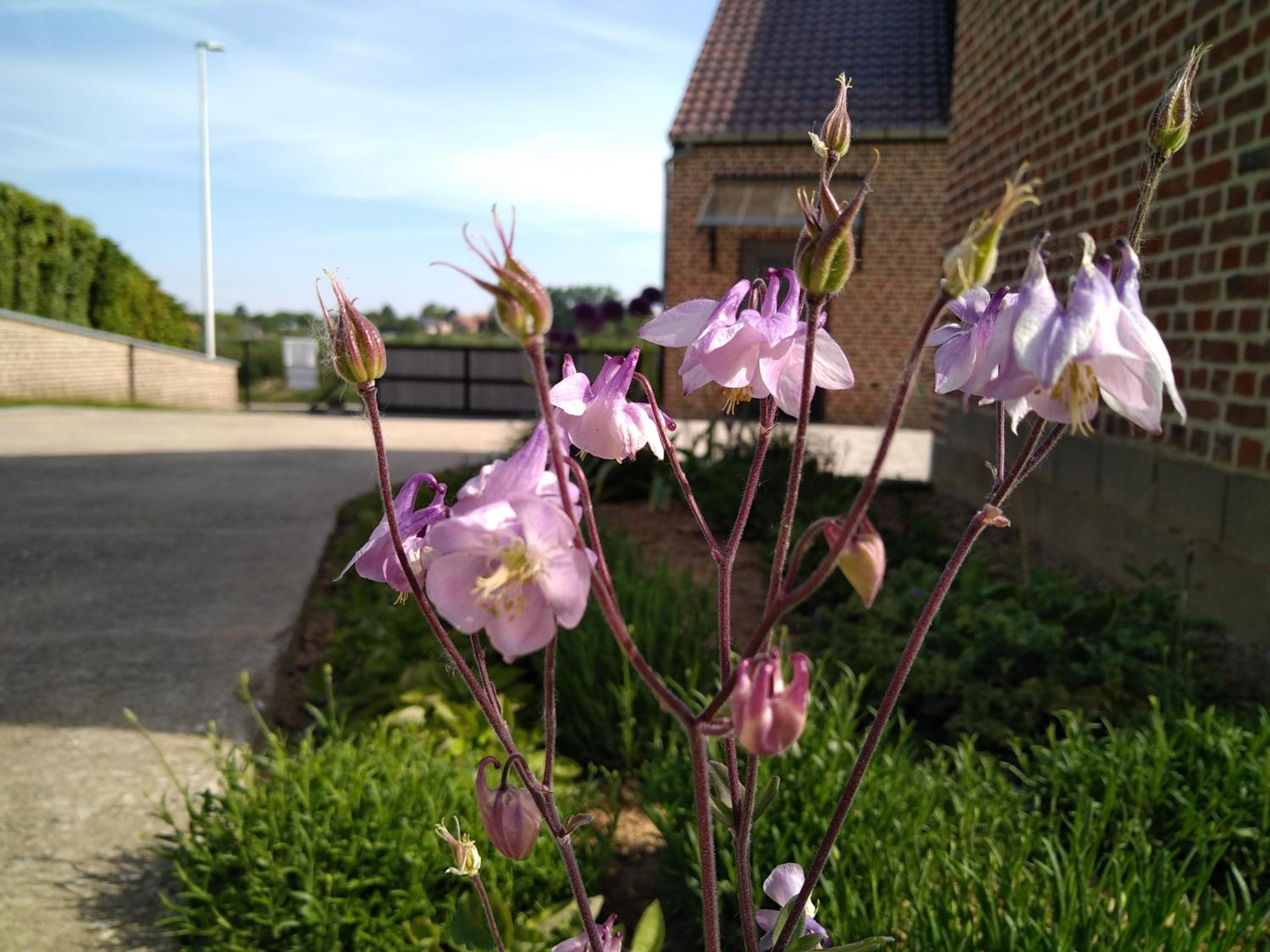 Vakantiewoning Mierzicht - privé wellness - Haspengouw 6p