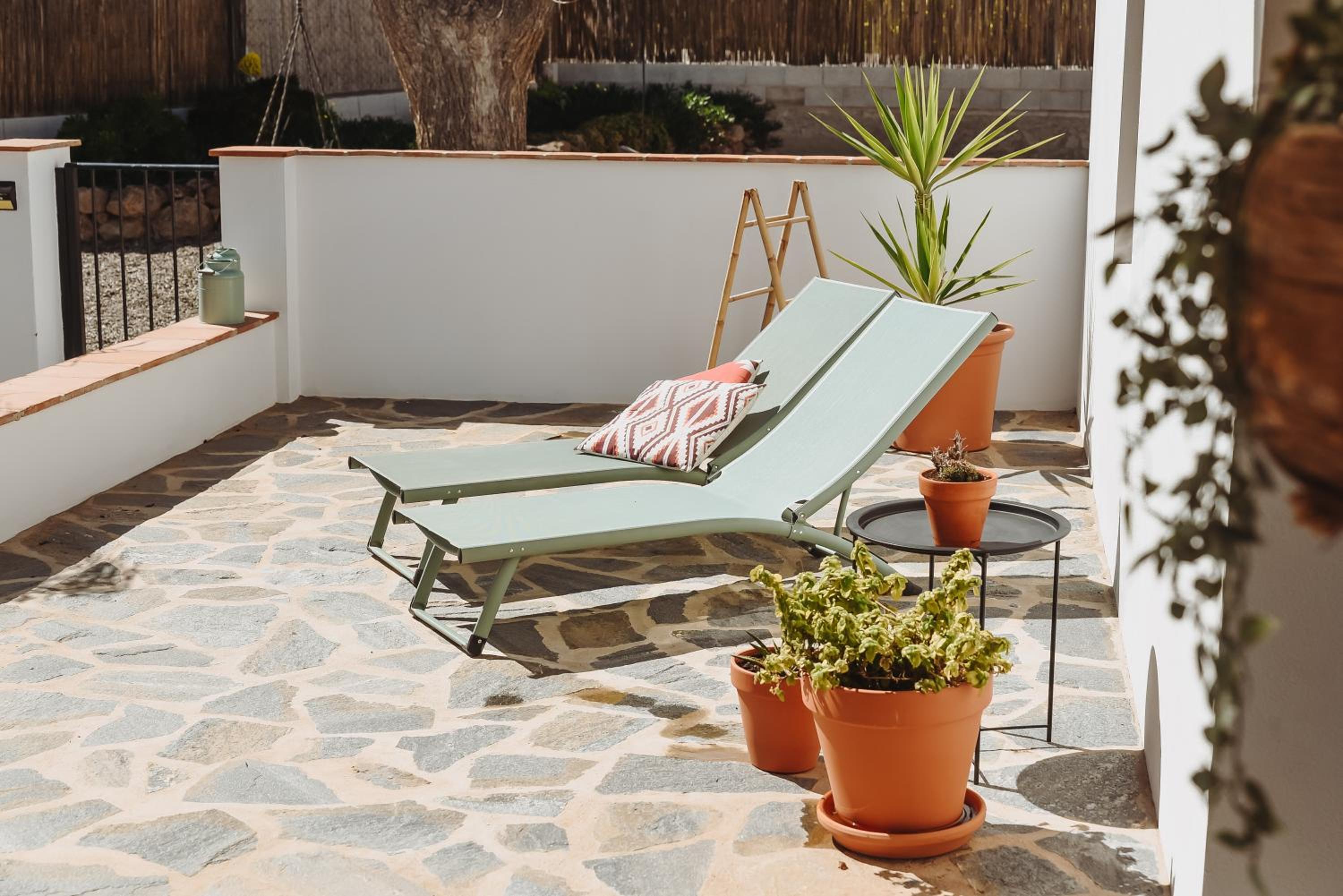 Finca Viva la Vida photo 3