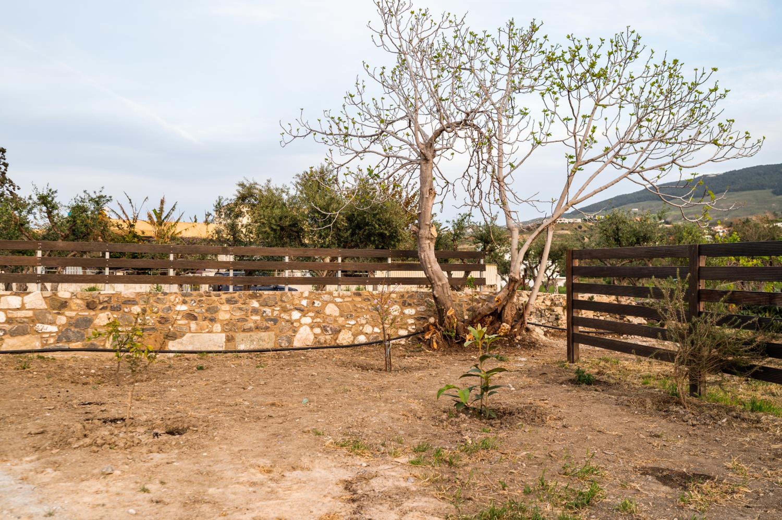 Paradisi Stone House