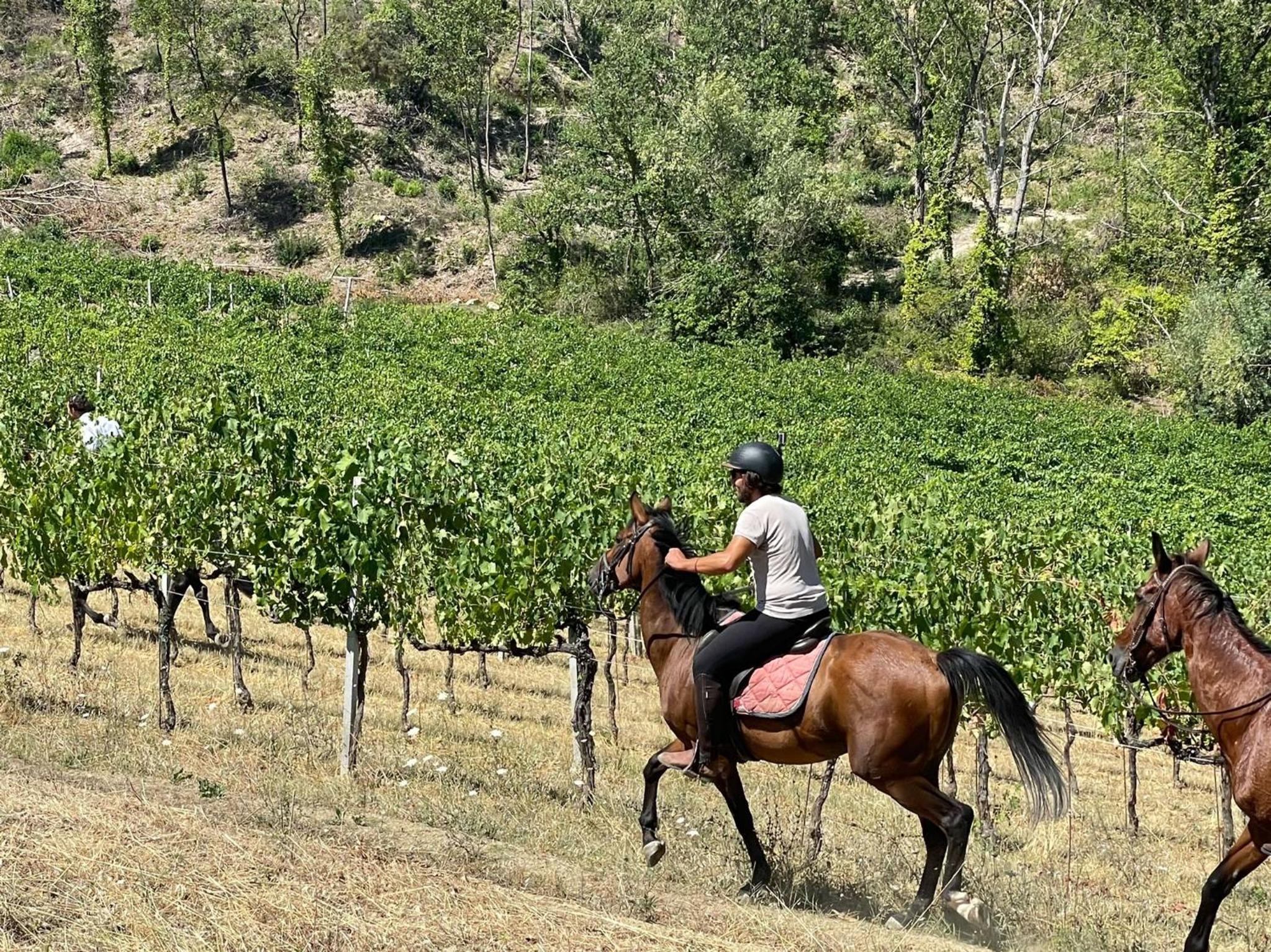 La Ghirlanda Wine Resort