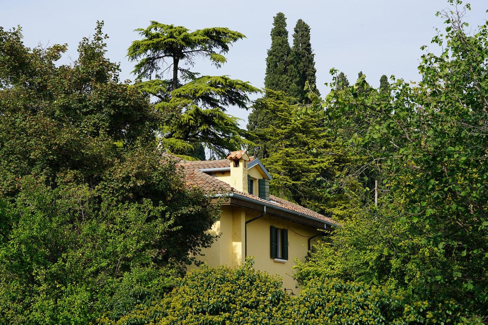 Casa Del Custode in the heart of Valpolicella